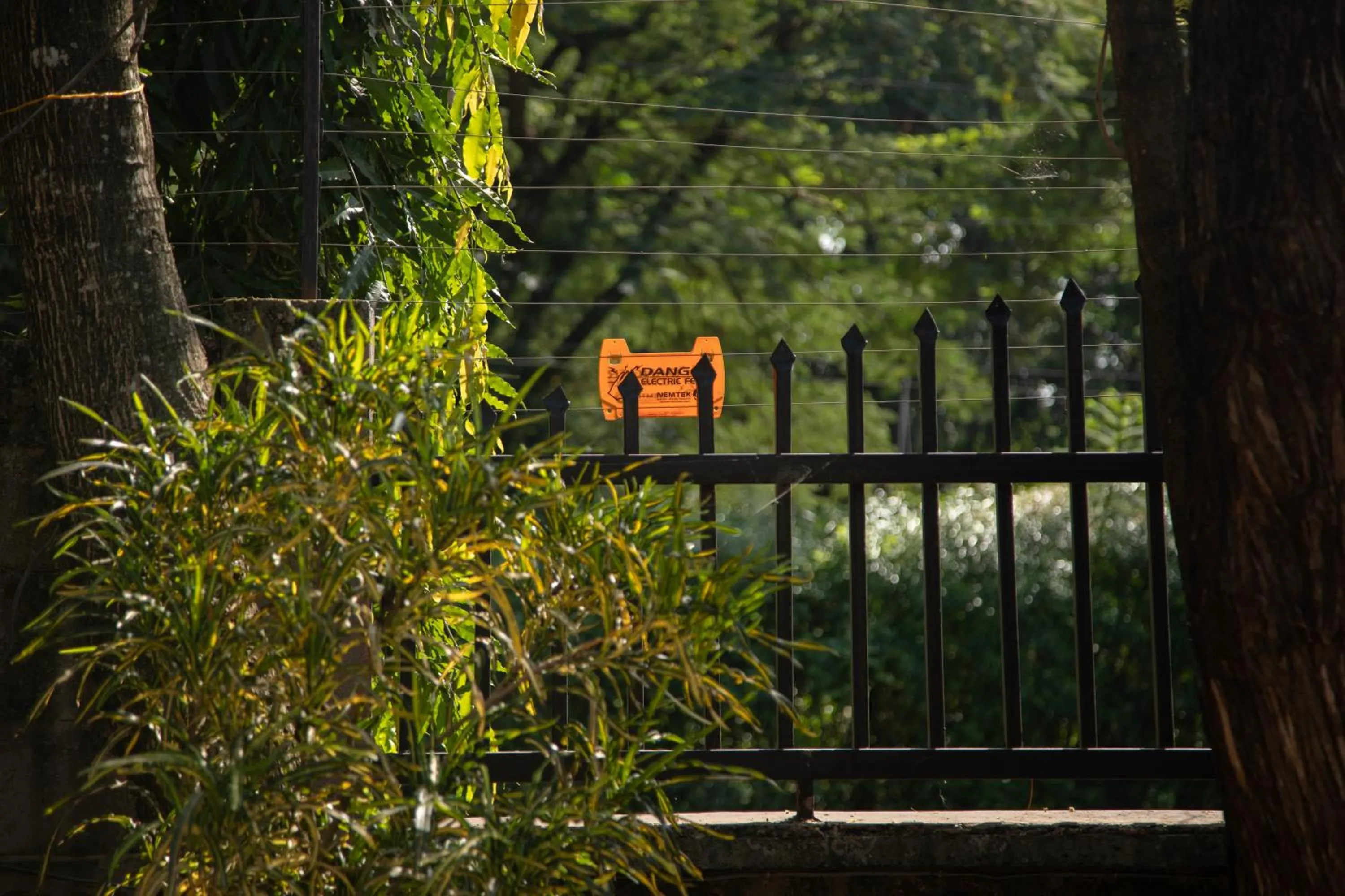 Property building in Panama Garden Resort