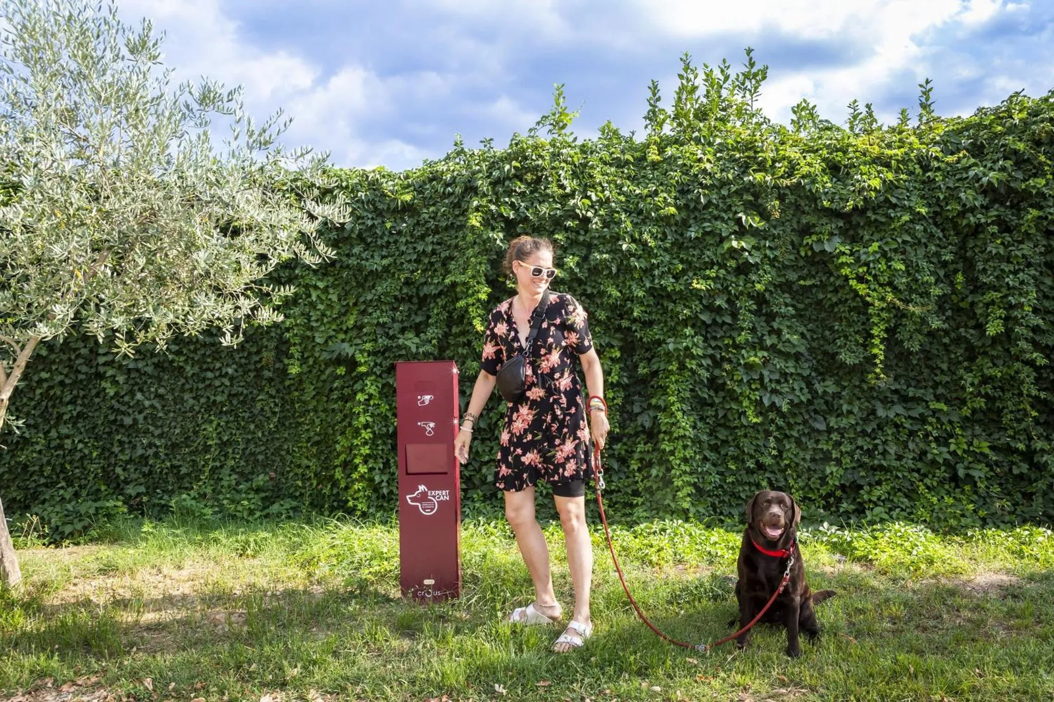 Pets in hu Firenze Camping in Town