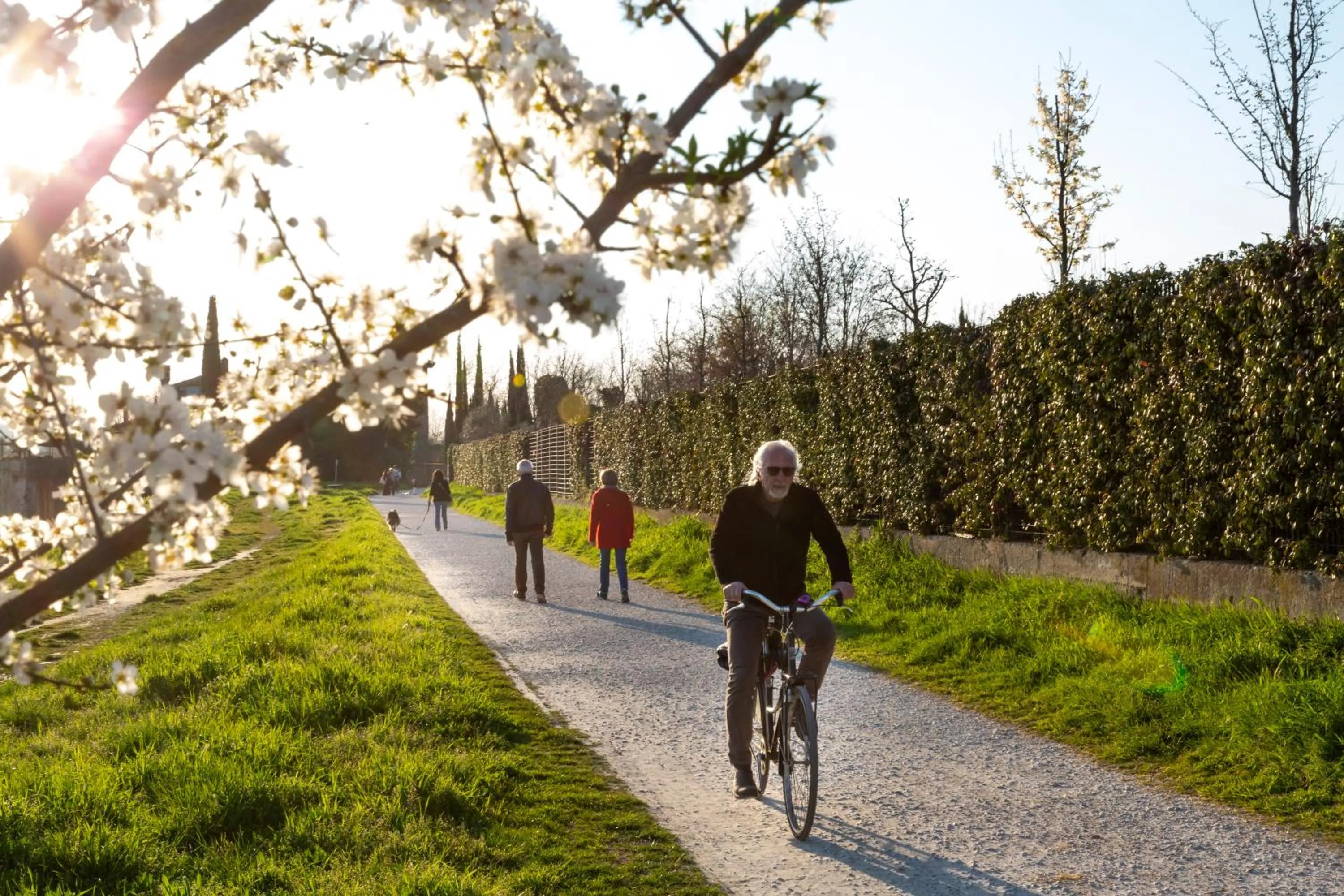 Cycling in hu Firenze Camping in Town