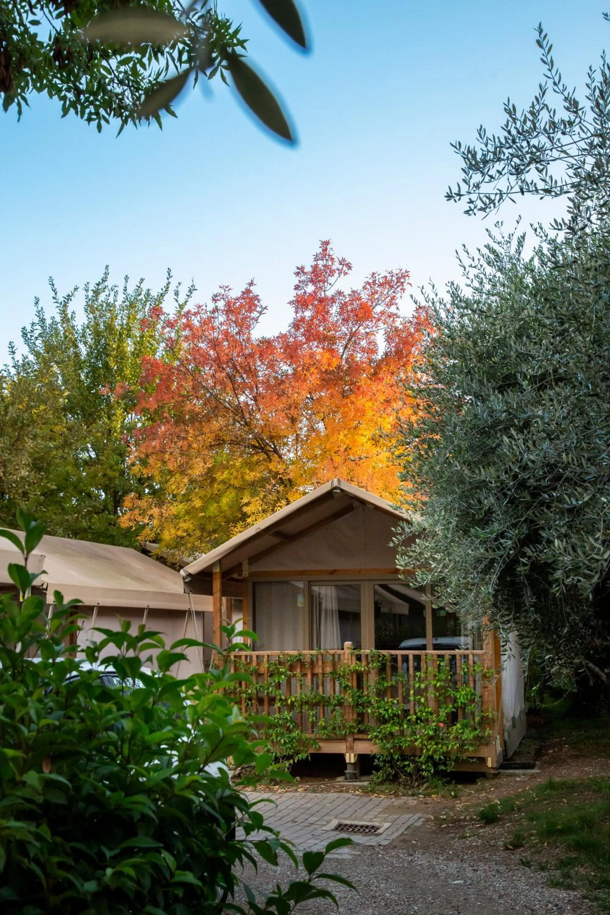 Autumn in hu Firenze Camping in Town