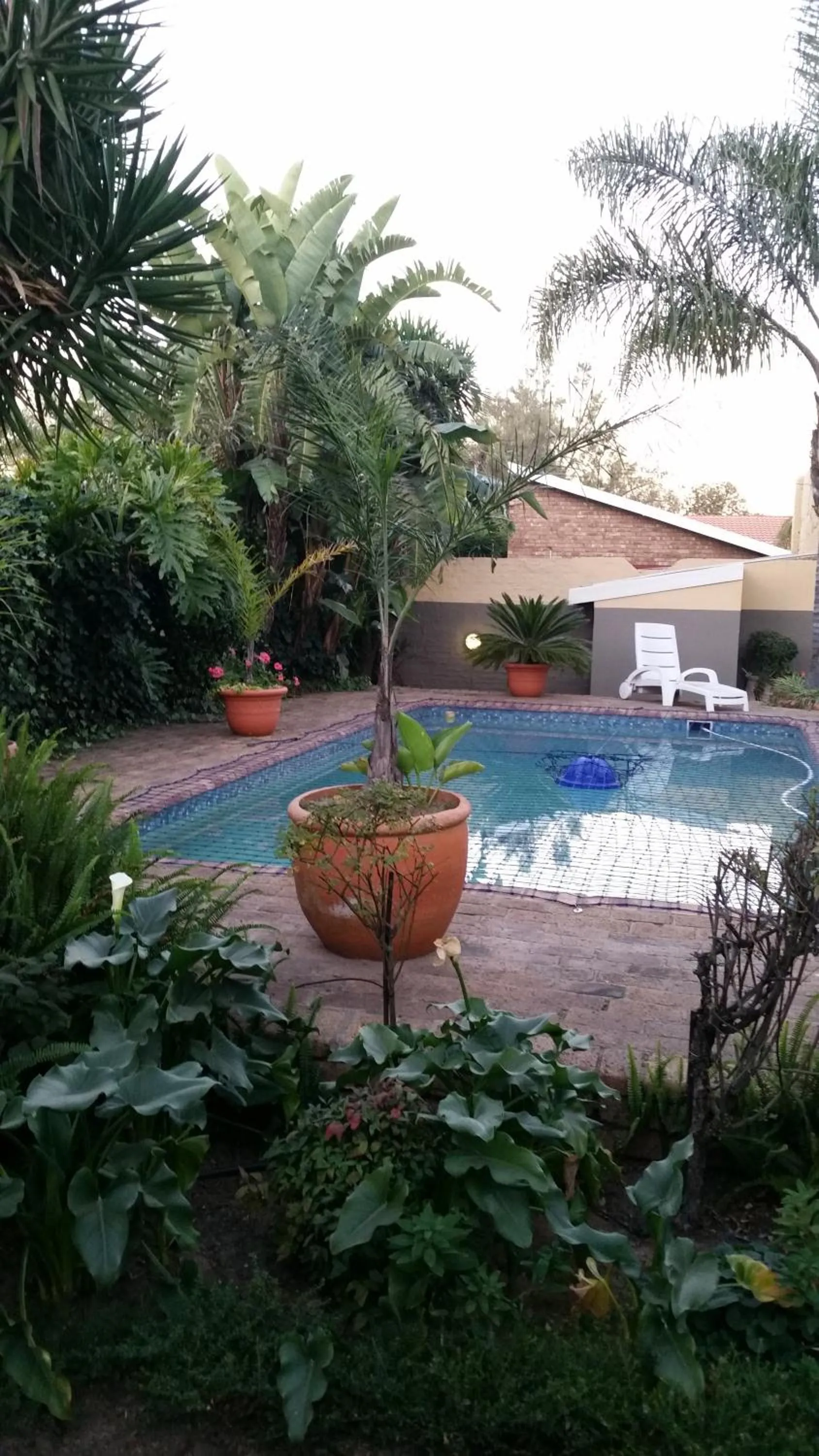 Swimming pool in Kalahari Guest House