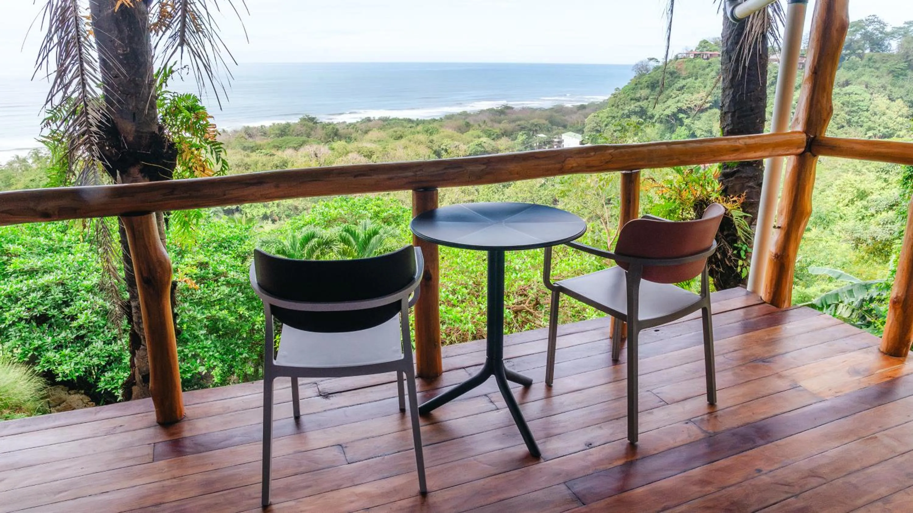 Natural landscape in Hotel Buenos Aires