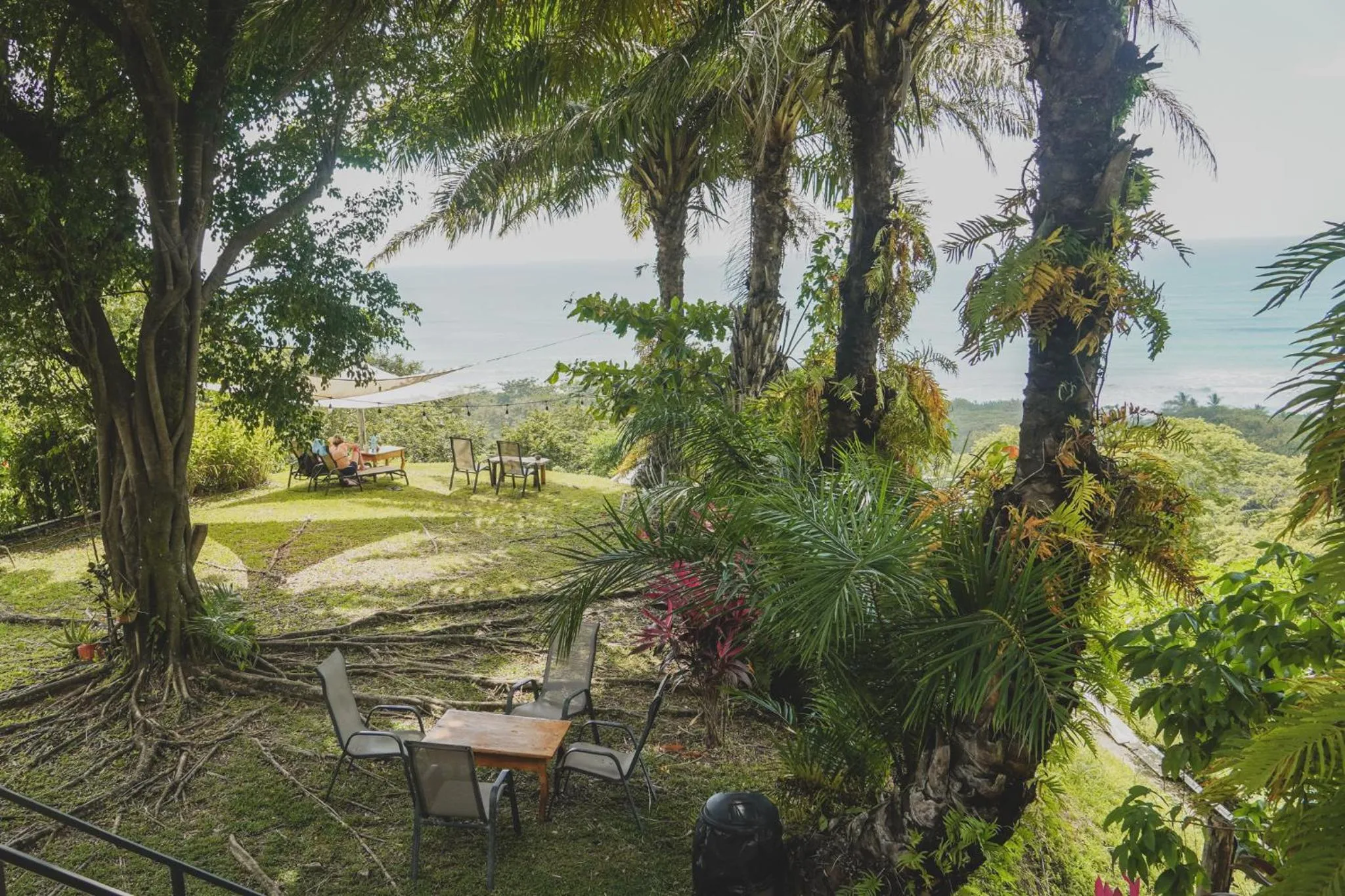 Natural landscape in Hotel Buenos Aires