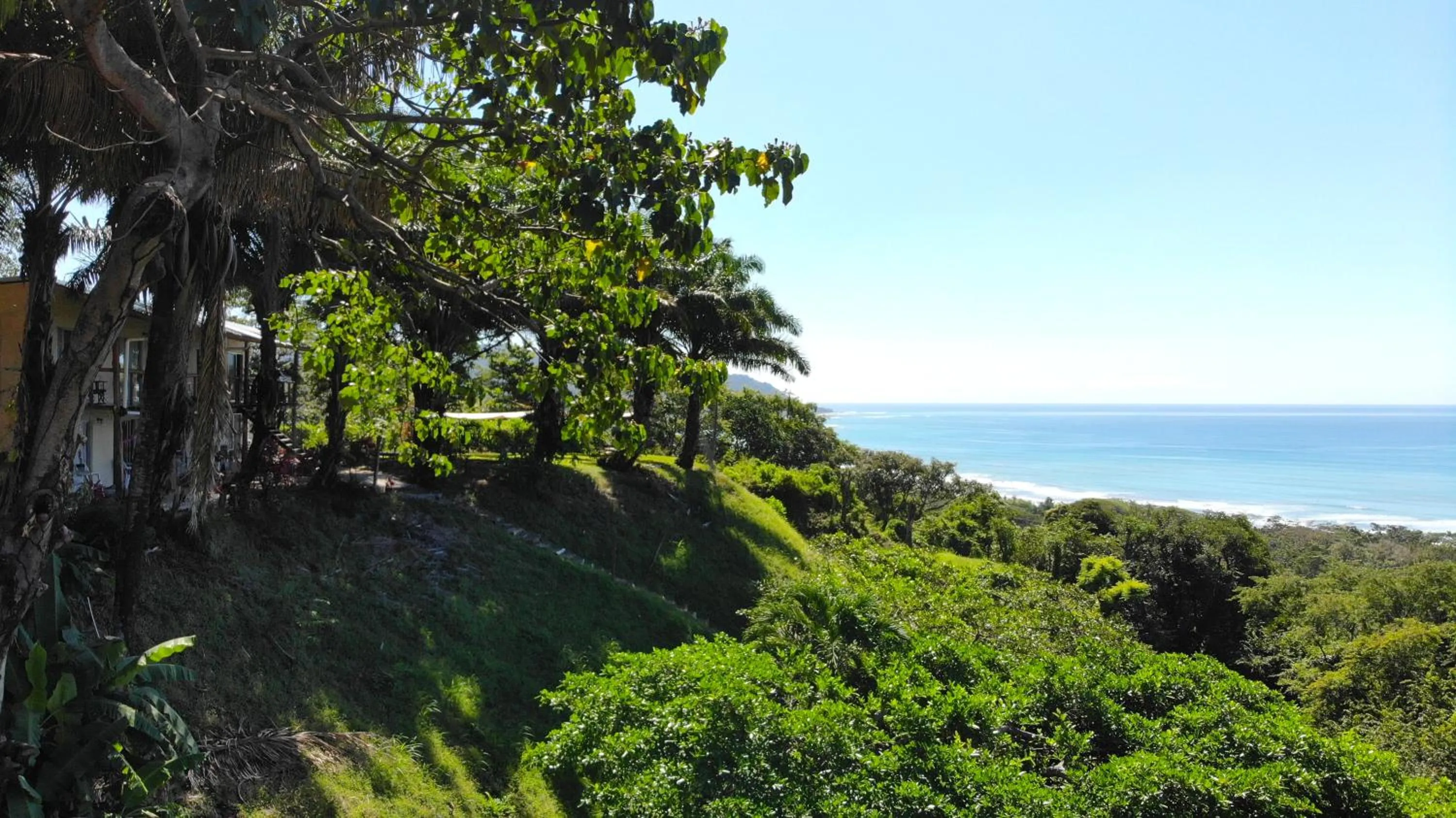Natural landscape in Hotel Buenos Aires