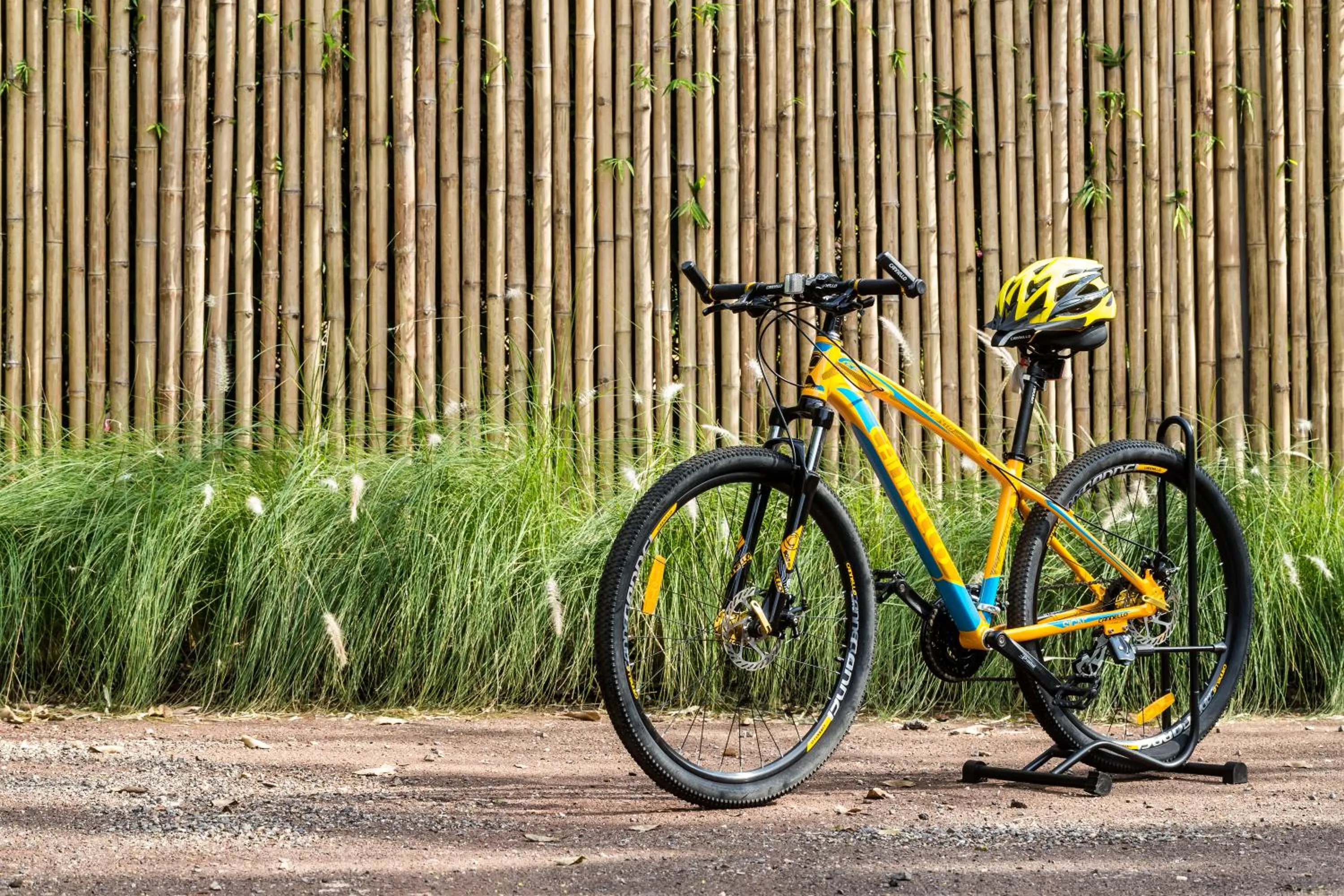 Cycling in Zen Villa Khao Yai