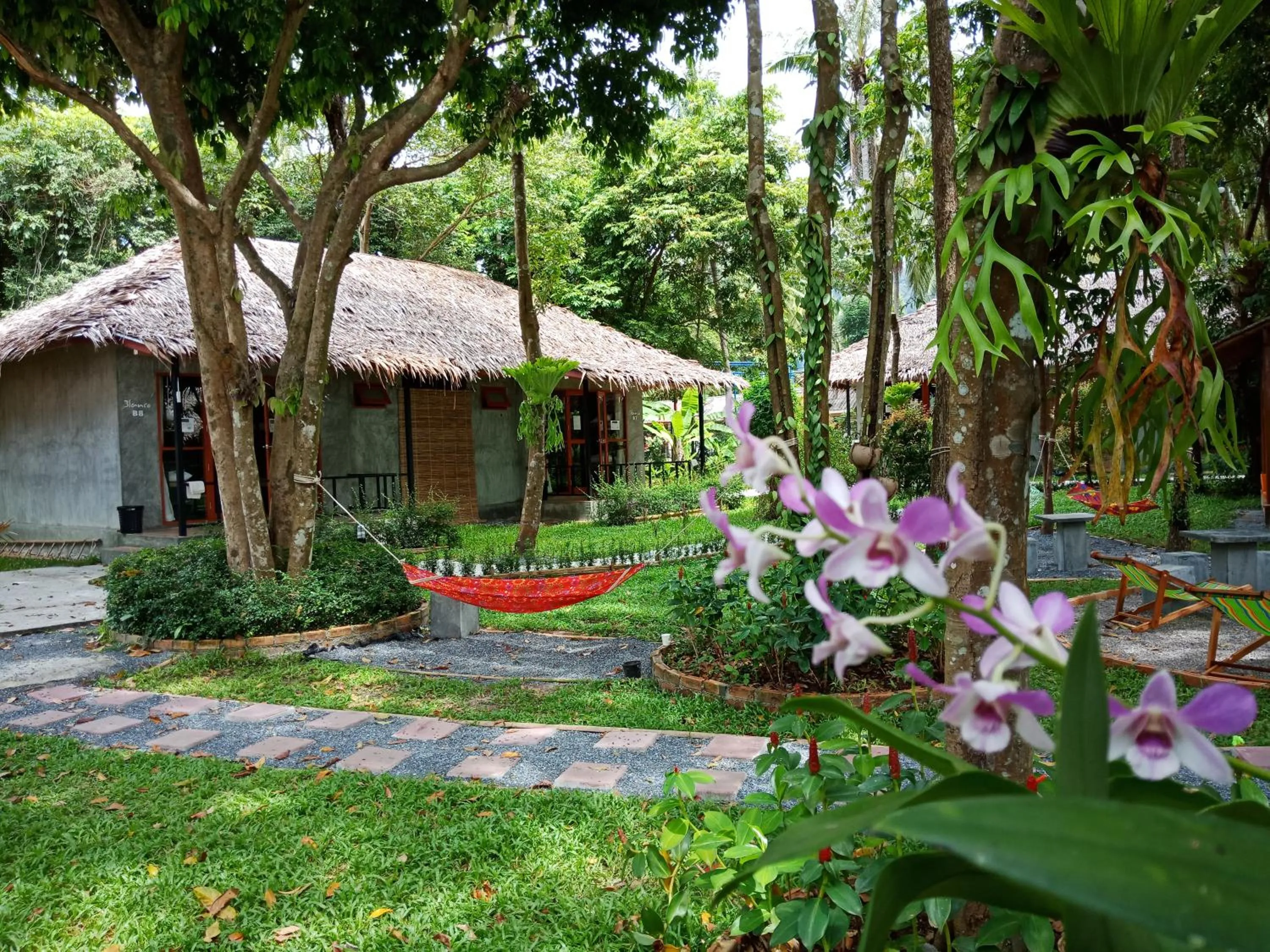 Garden in Blanco Hostel Lanta 18 to 35