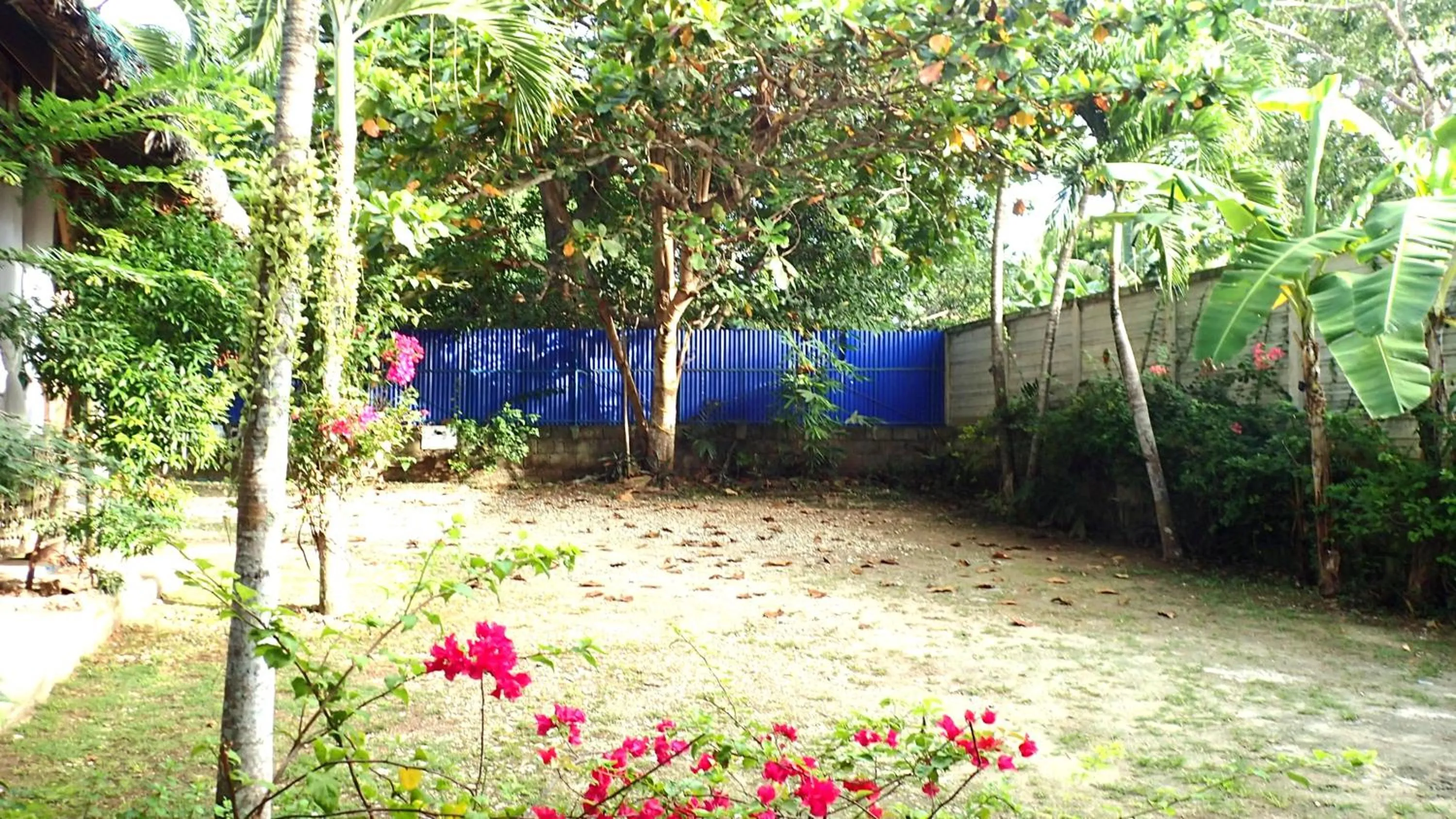 Natural landscape in Island Tiki Paradise Resort