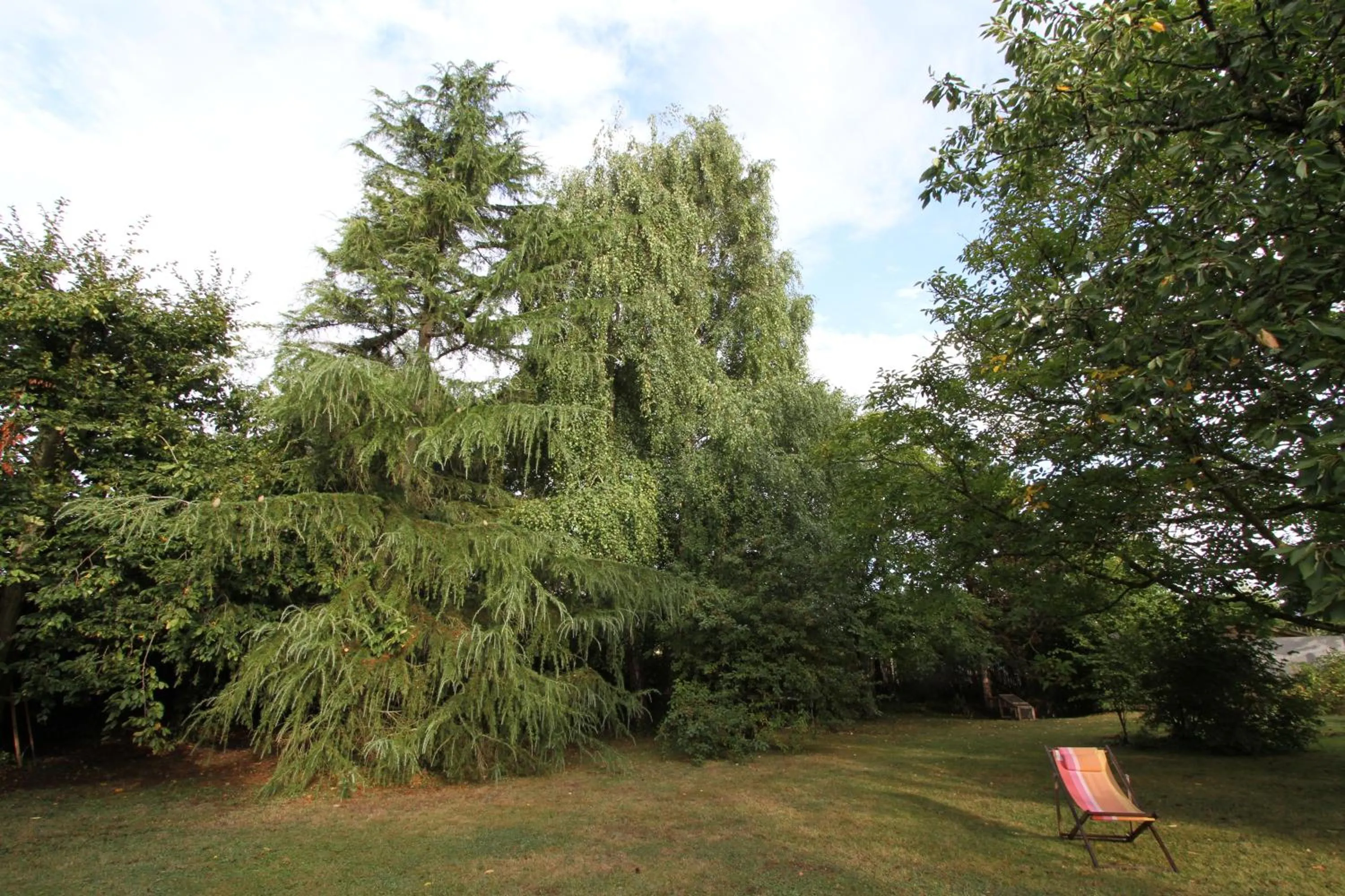 Garden in La Haute Flourie - bed and breakfast -chambres d'hôtes