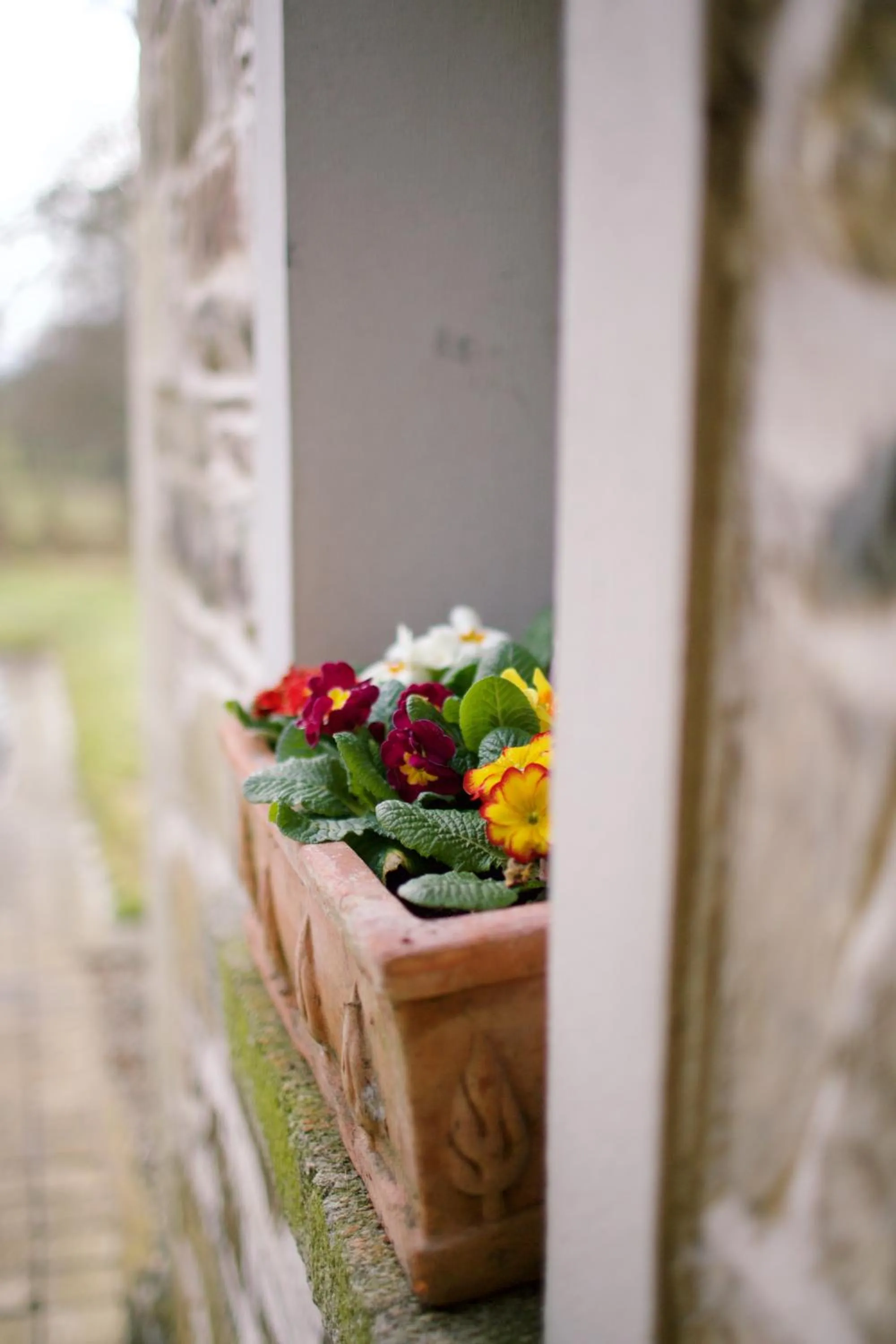 Decorative detail in Scion Hill Gate Lodge