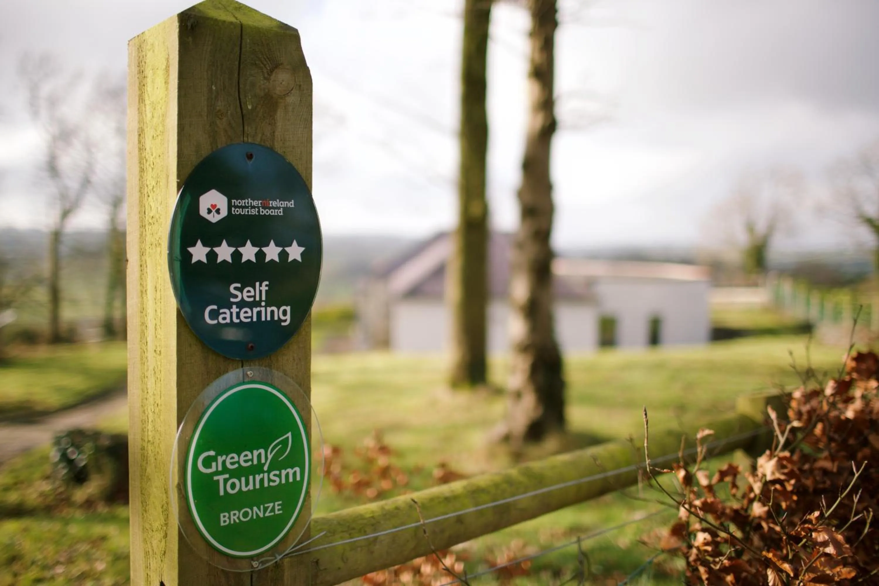 Garden view in Scion Hill Gate Lodge