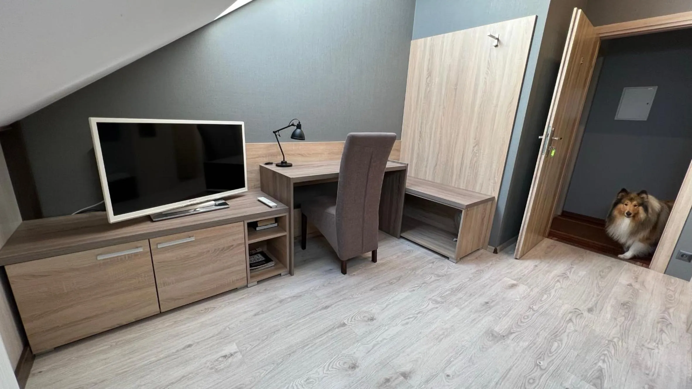 TV and multimedia in FitnessFun