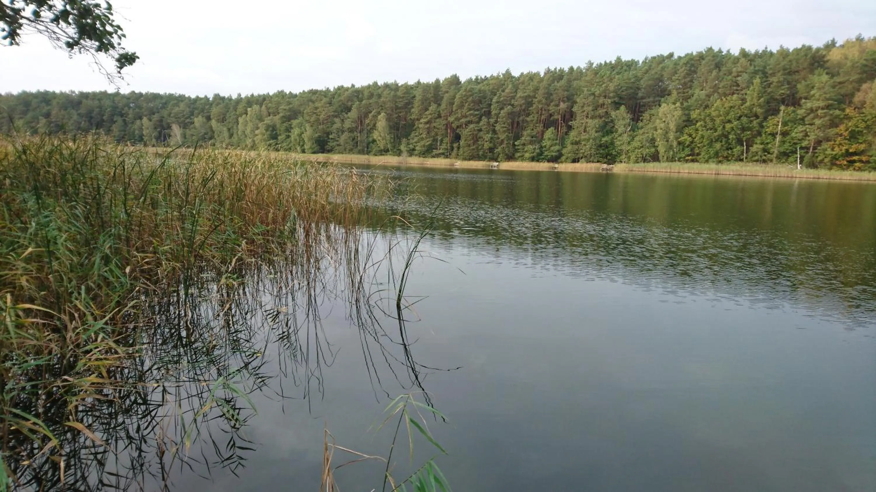 Neighbourhood in FitnessFun