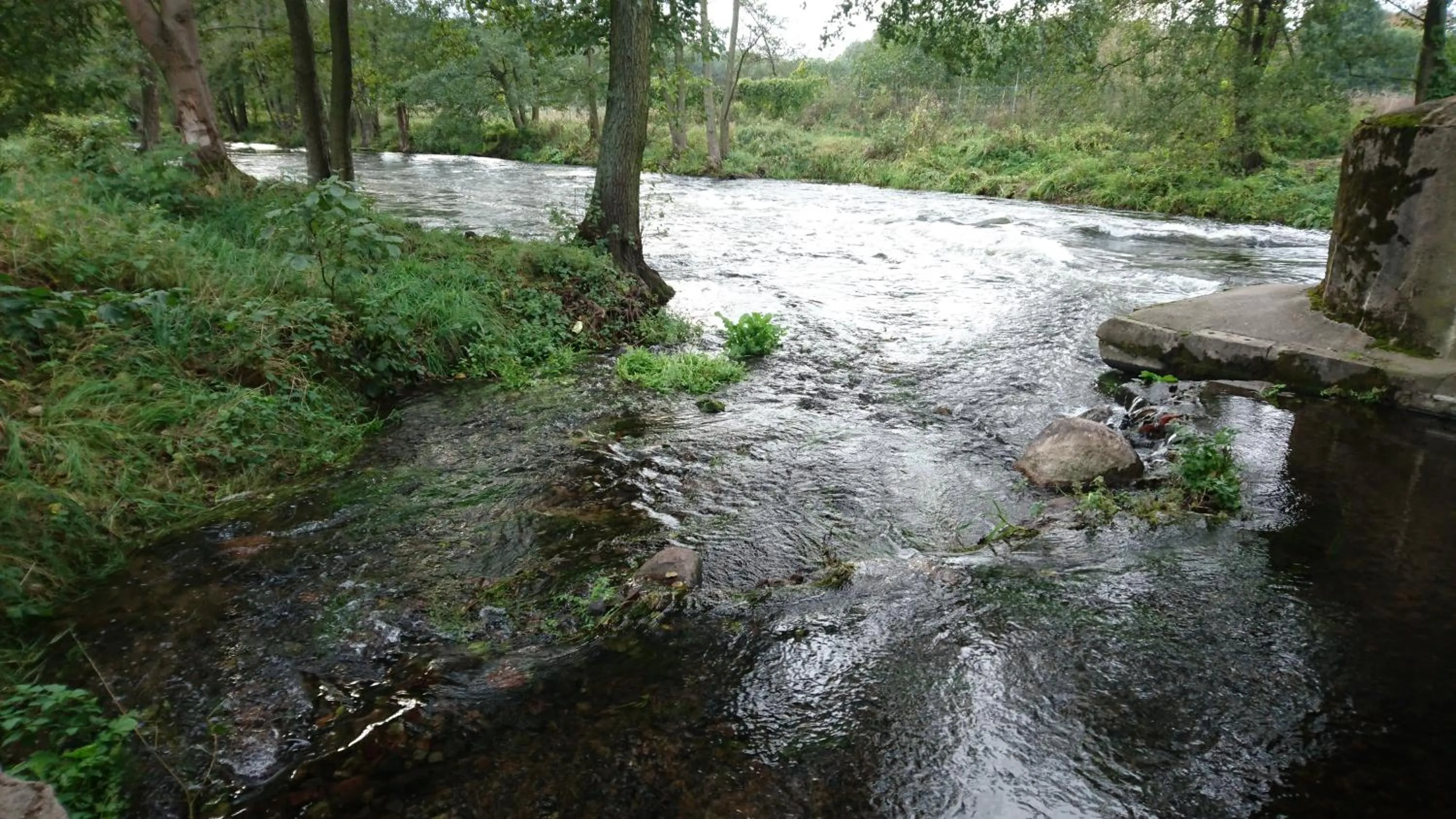 Neighbourhood in FitnessFun