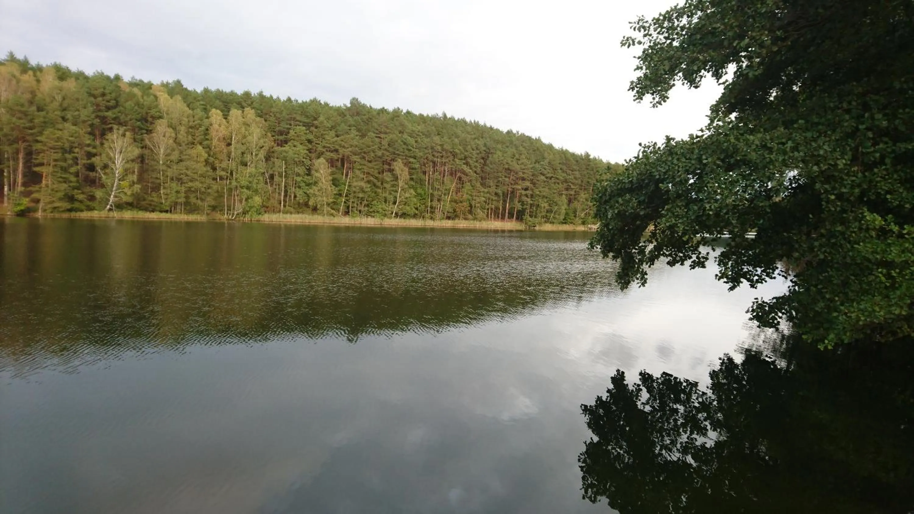 Neighbourhood in FitnessFun