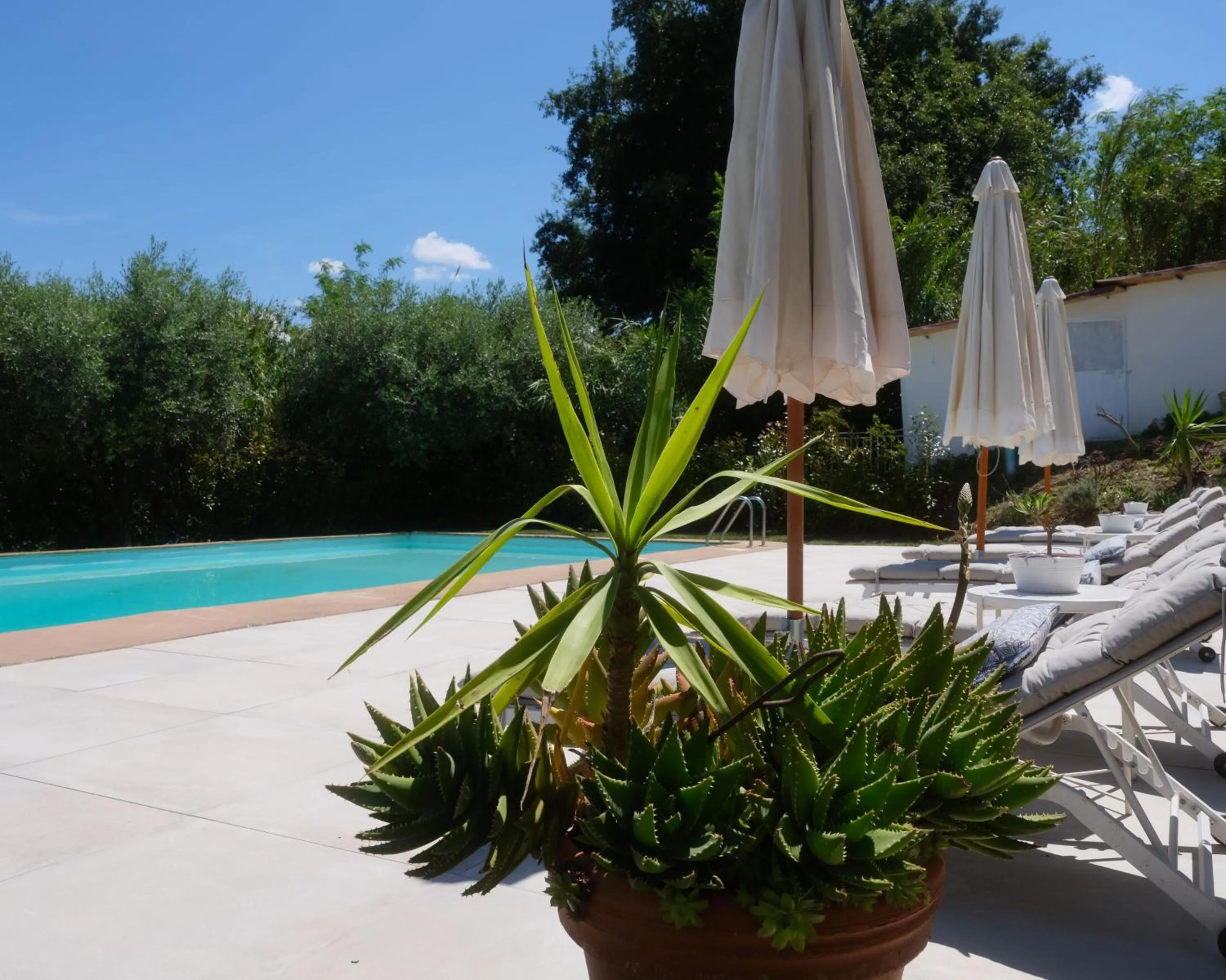 Swimming pool in Casal di Peppe B&B