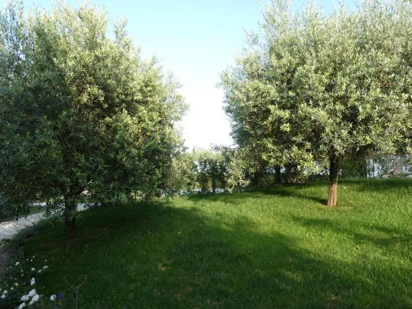 Garden in Casal di Peppe B&B