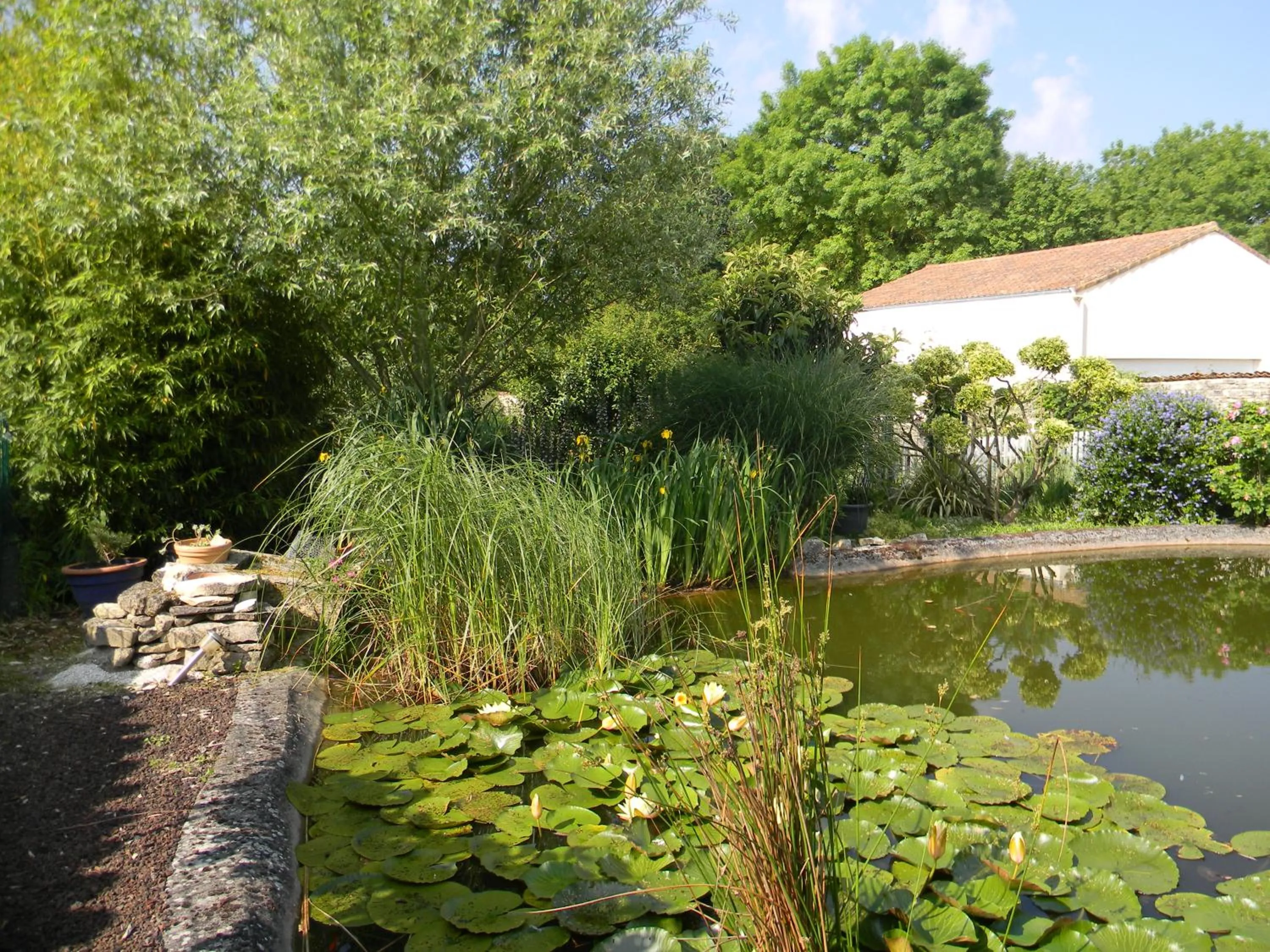 Garden in Le Logis d'ANTIGNY