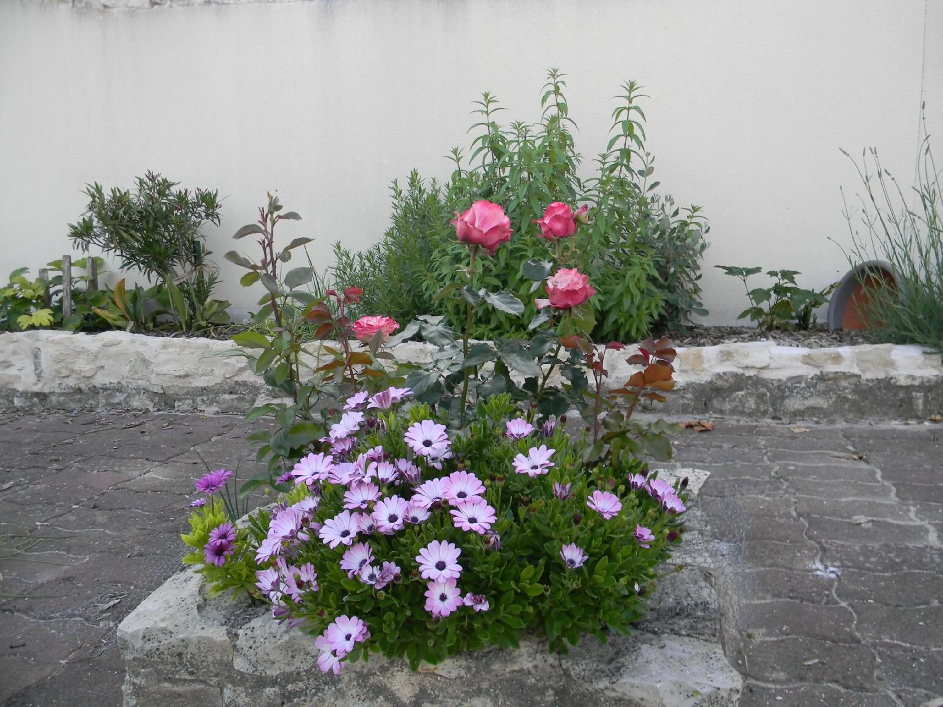 Garden in Le Logis d'ANTIGNY