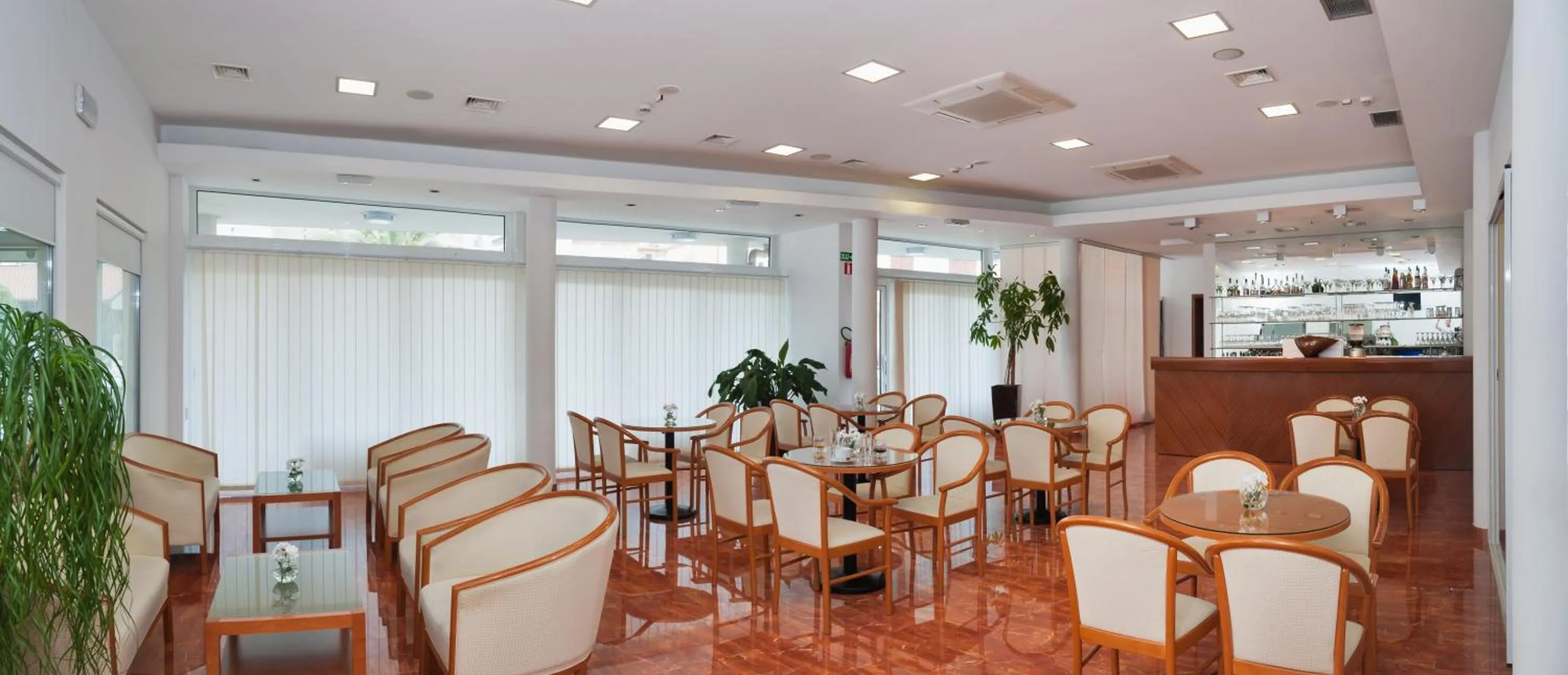 Lounge or bar in Hotel Rotondo