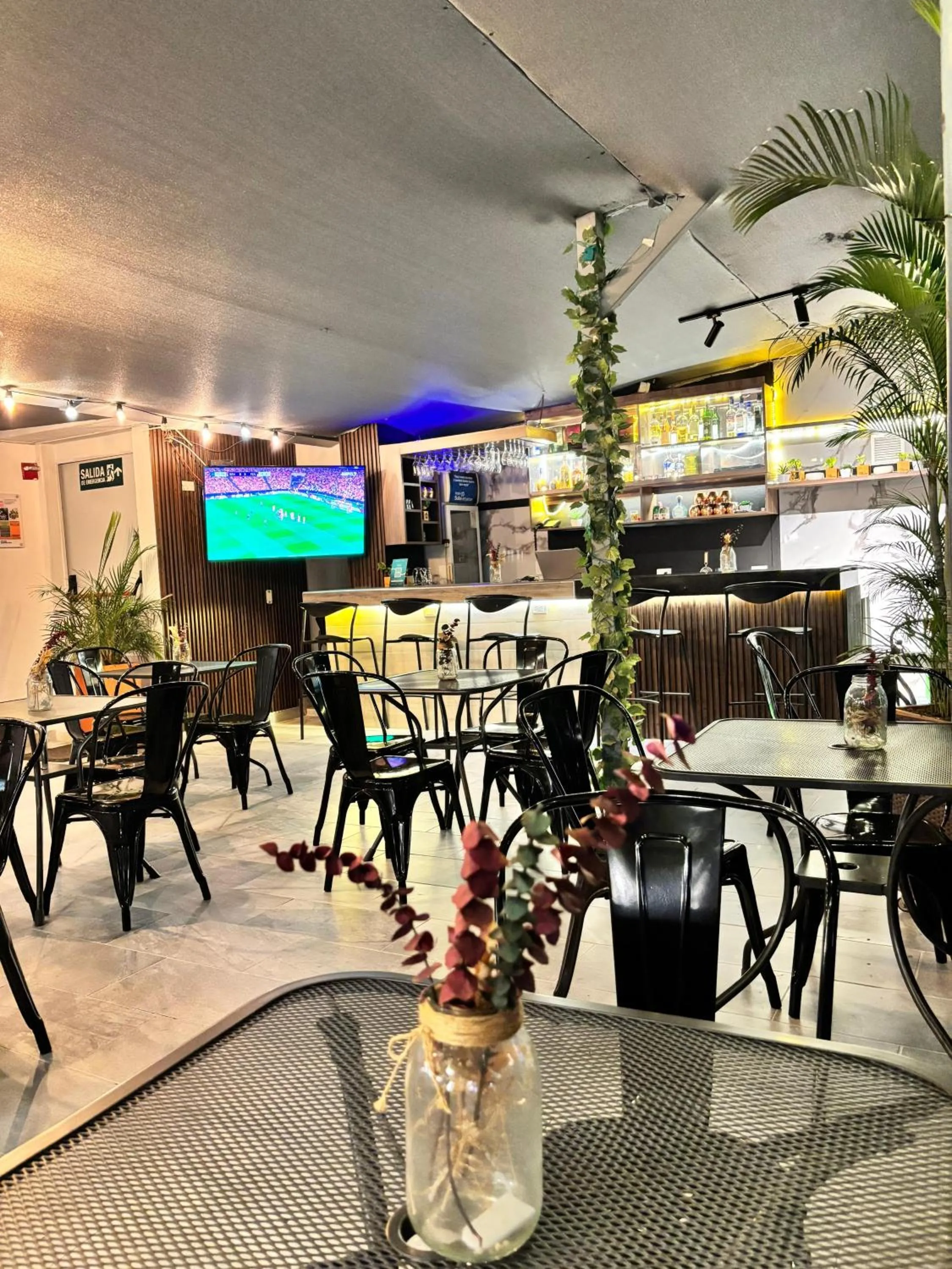 Lounge or bar in Hotel Laureles Plaza