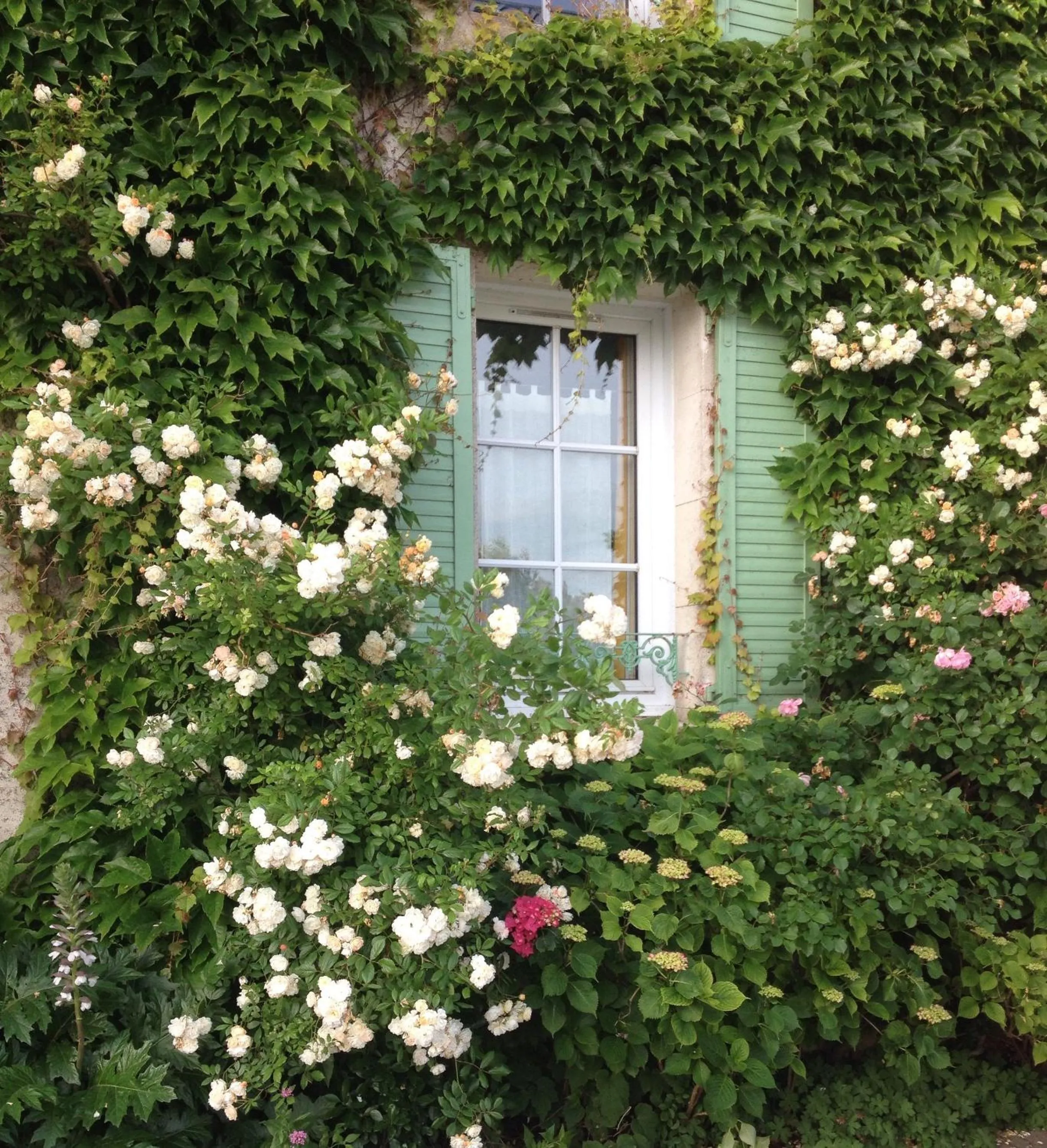 Garden in Le Clos Du GALION - Ile de Ré