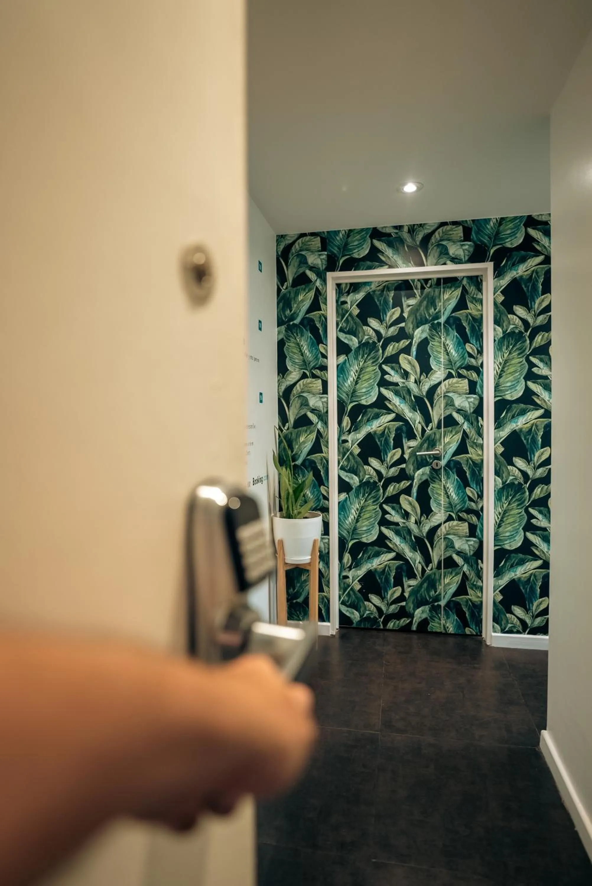 Photo of the whole room in Sucre Suites