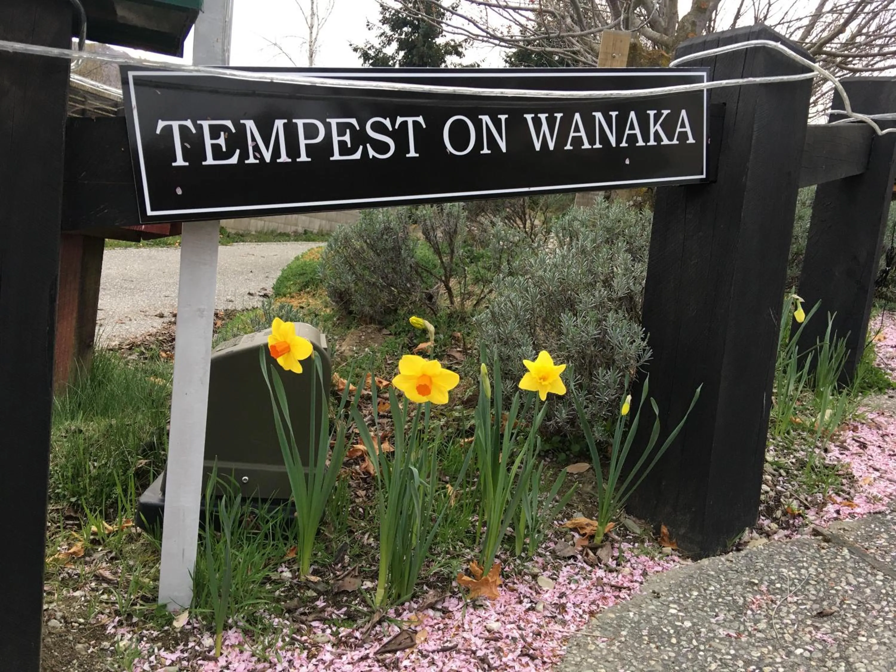 Street view in Tempest on Wanaka