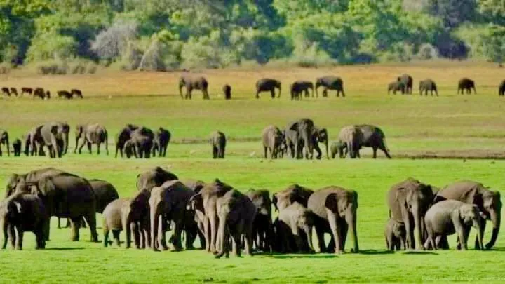 St CLAIRE'S GREEN Negombo Hotel & Hostels