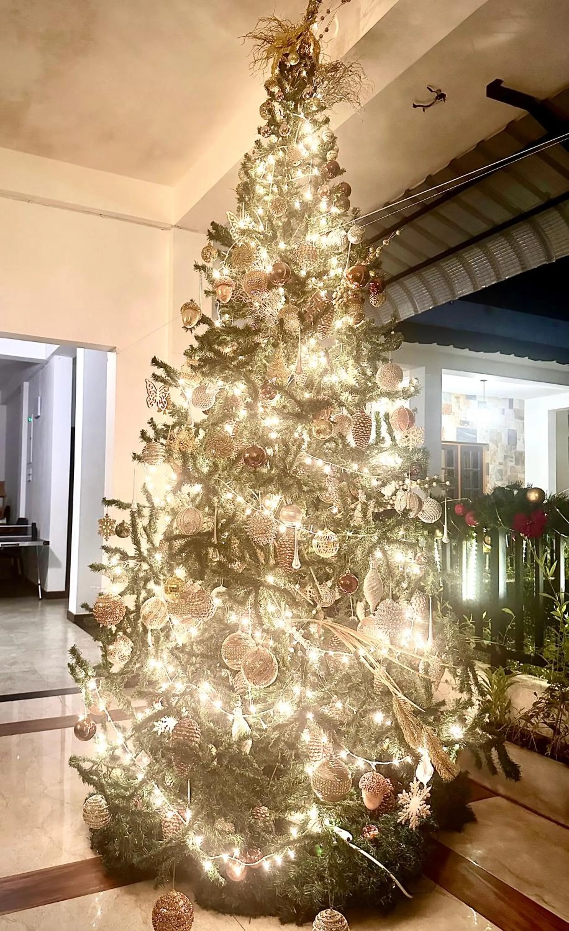 St CLAIRE'S GREEN Negombo Hotel & Hostels