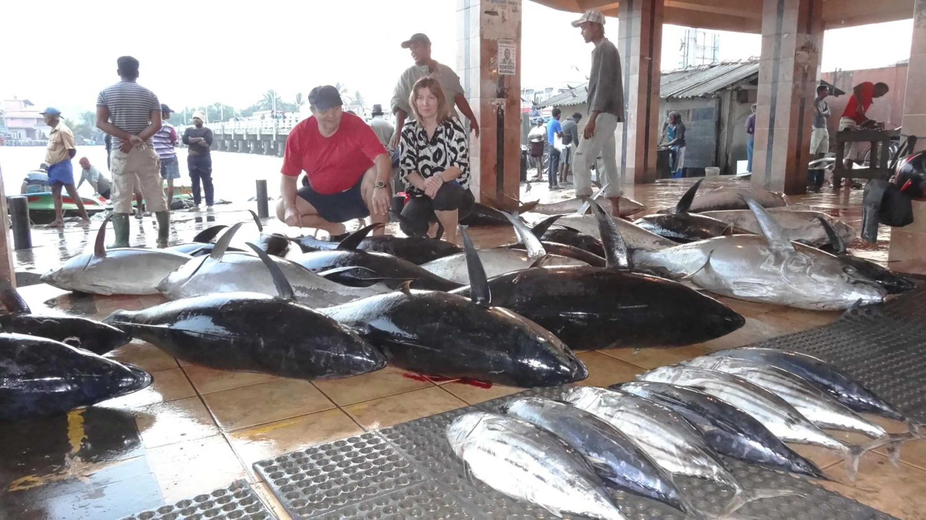 Fishing in St CLAIRE'S GREEN Negombo Hotel & Hostels