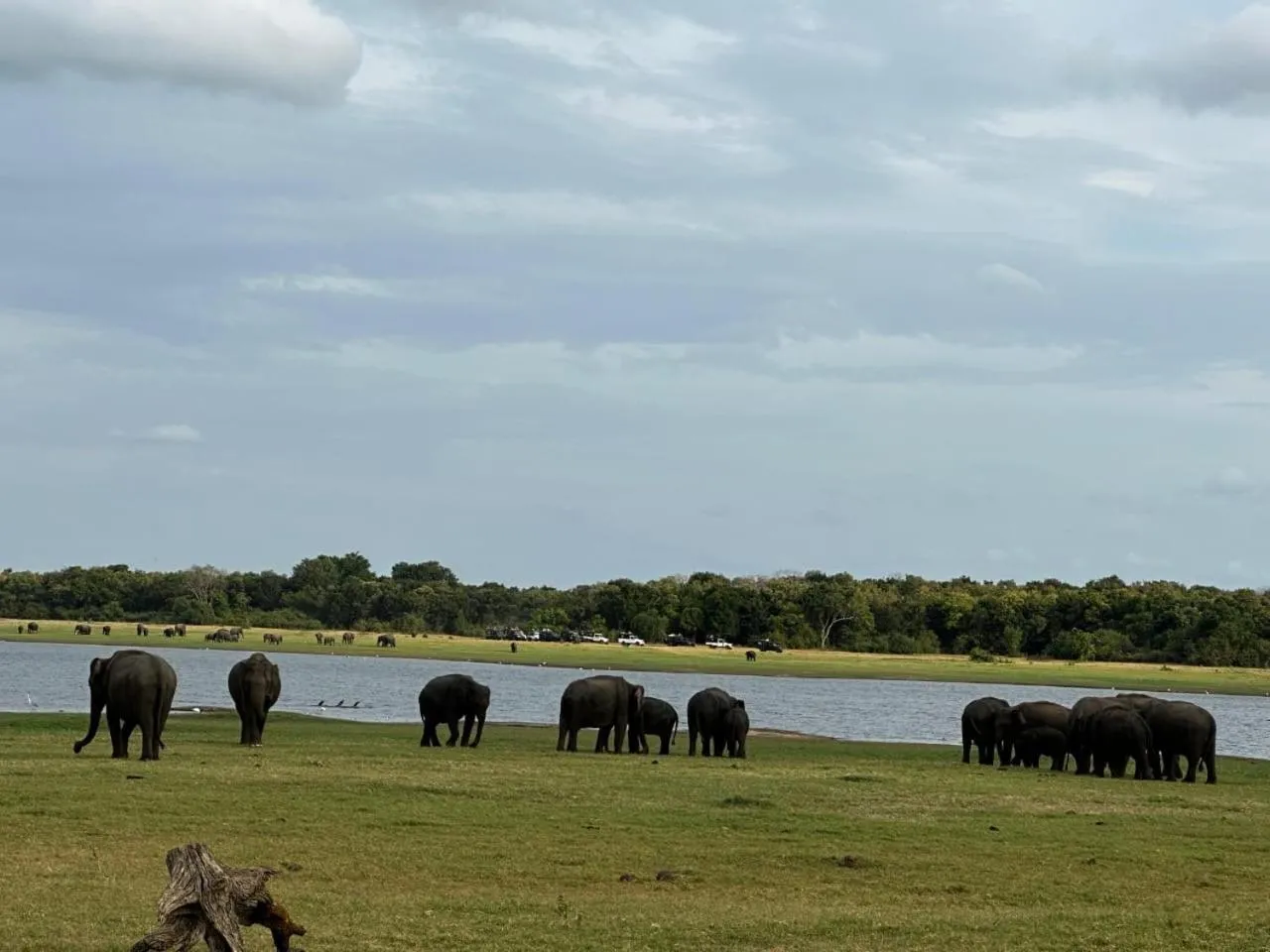 St CLAIRE'S GREEN Negombo Hotel & Hostels