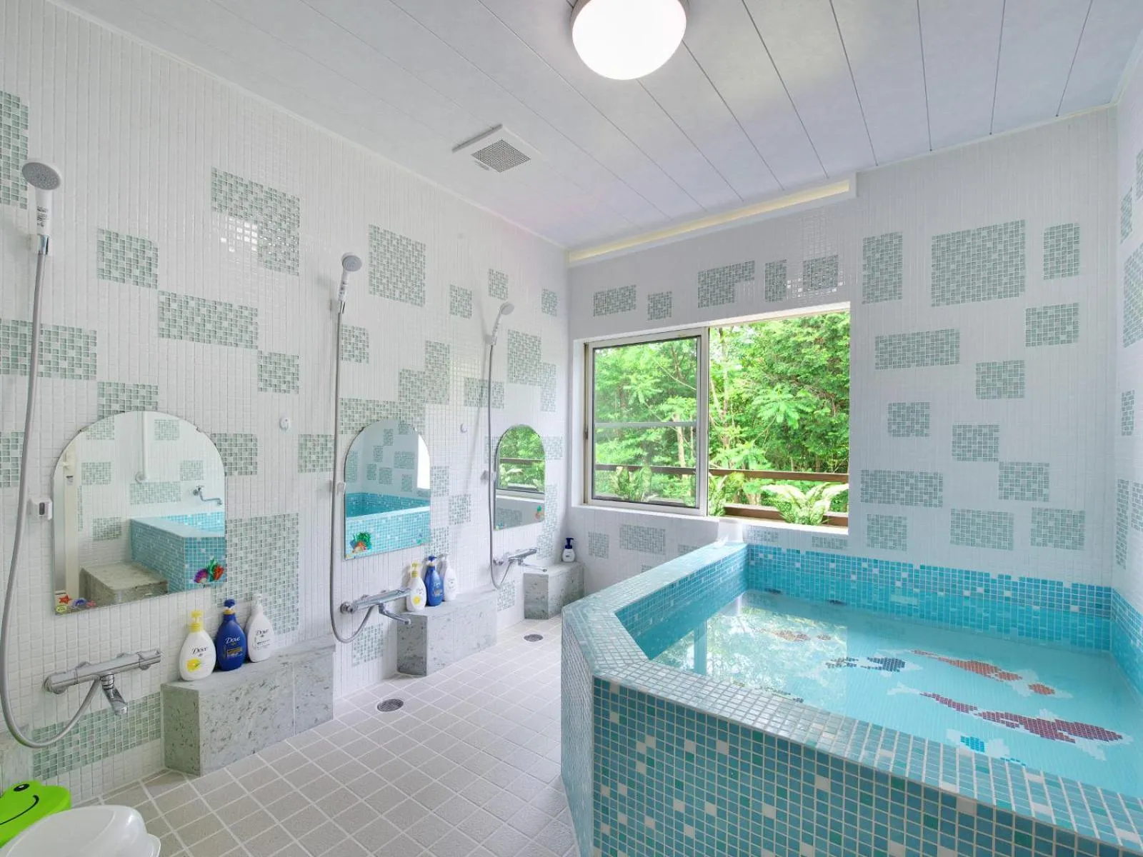 Hot Spring Bath in Chateau Le Fleur