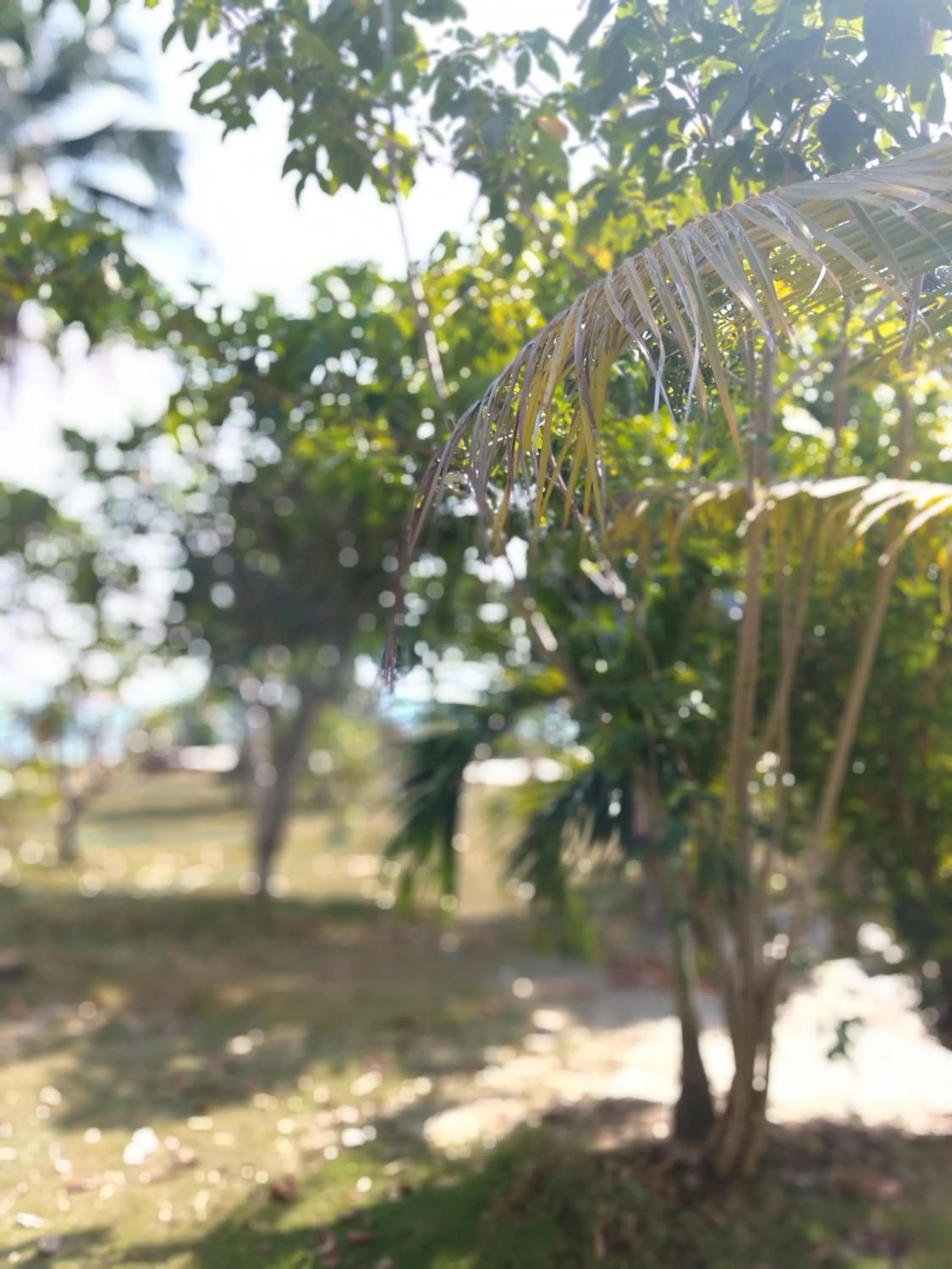 Tropicana Khophagan Resort Hotel