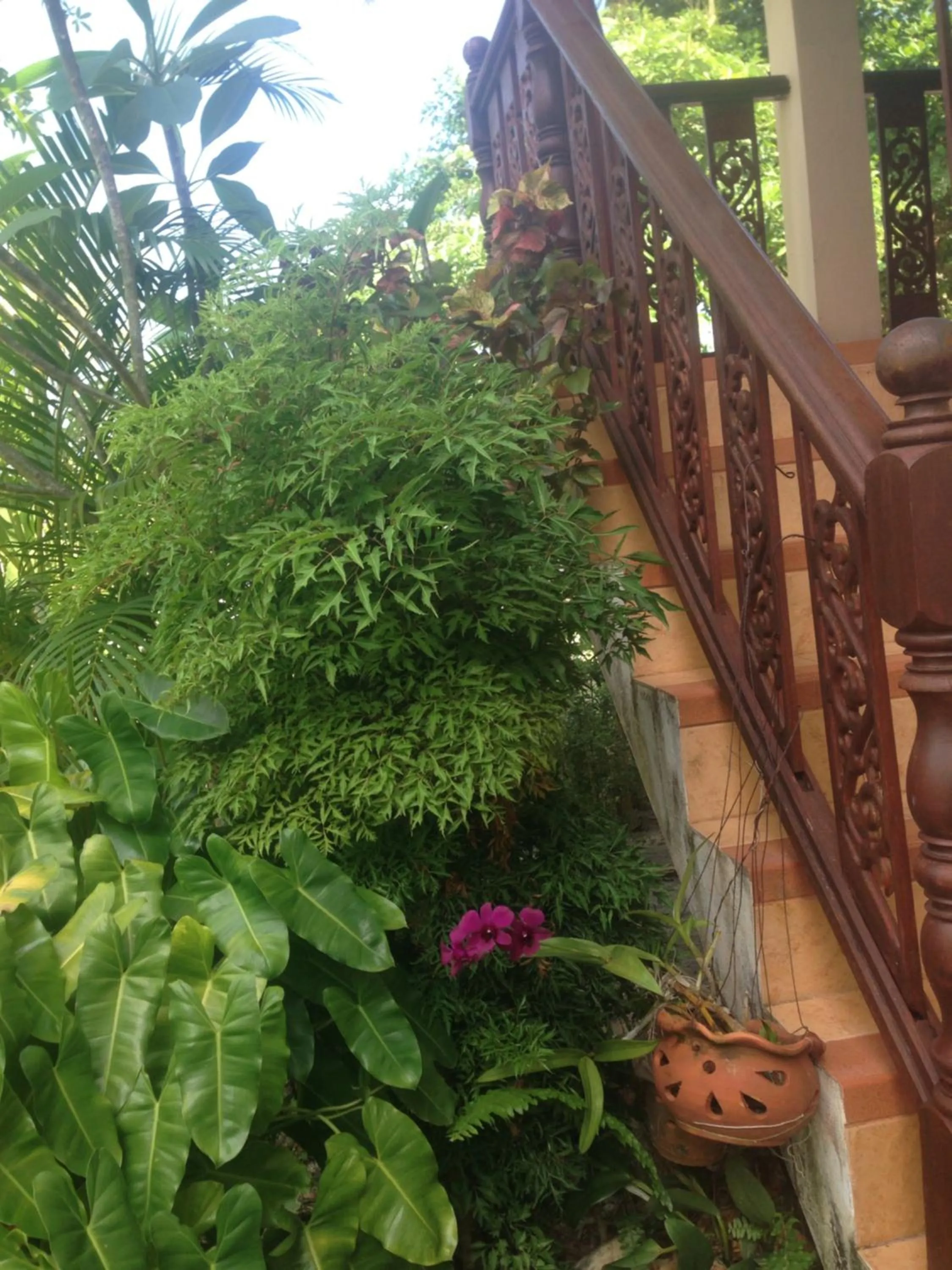 Tropicana Khophagan Resort Hotel