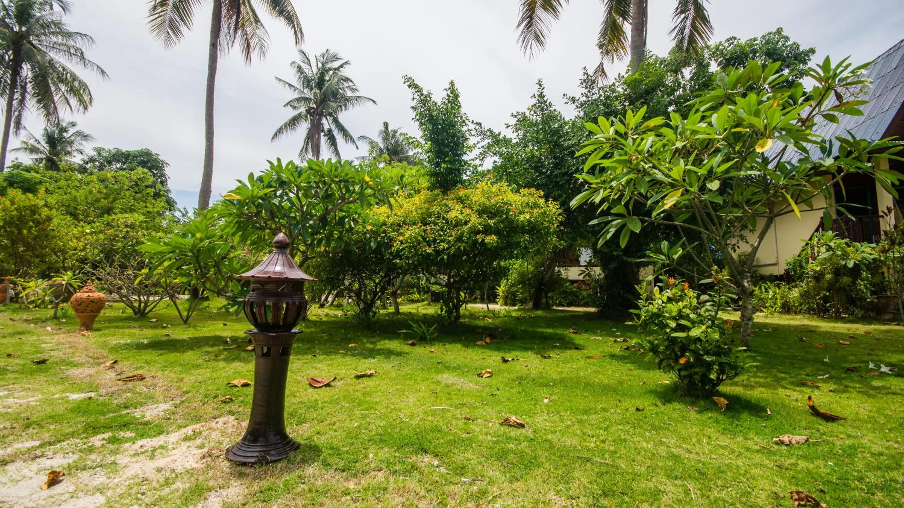Garden in Tropicana Khophagan Resort Hotel