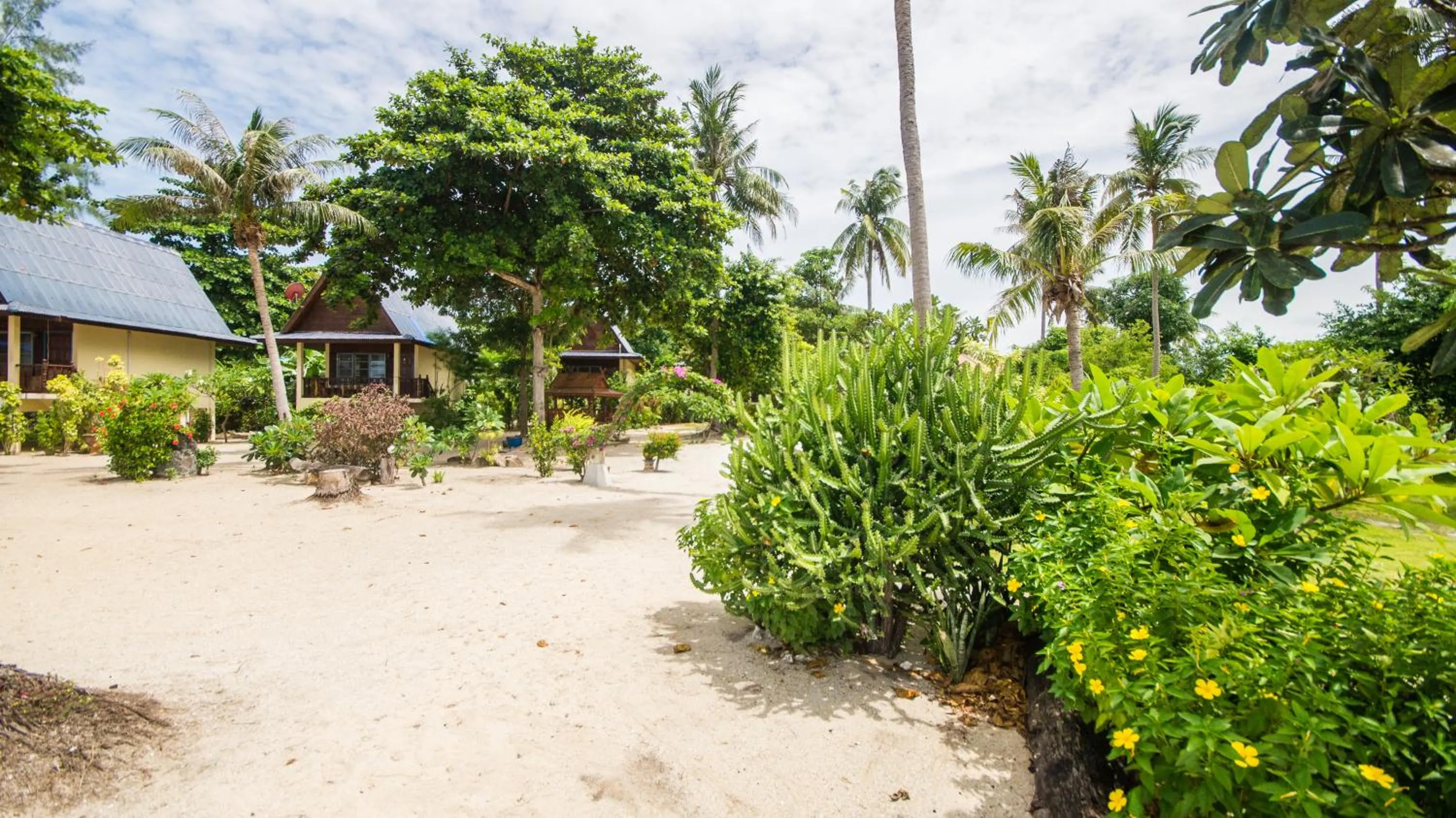Natural landscape in Tropicana Khophagan Resort Hotel