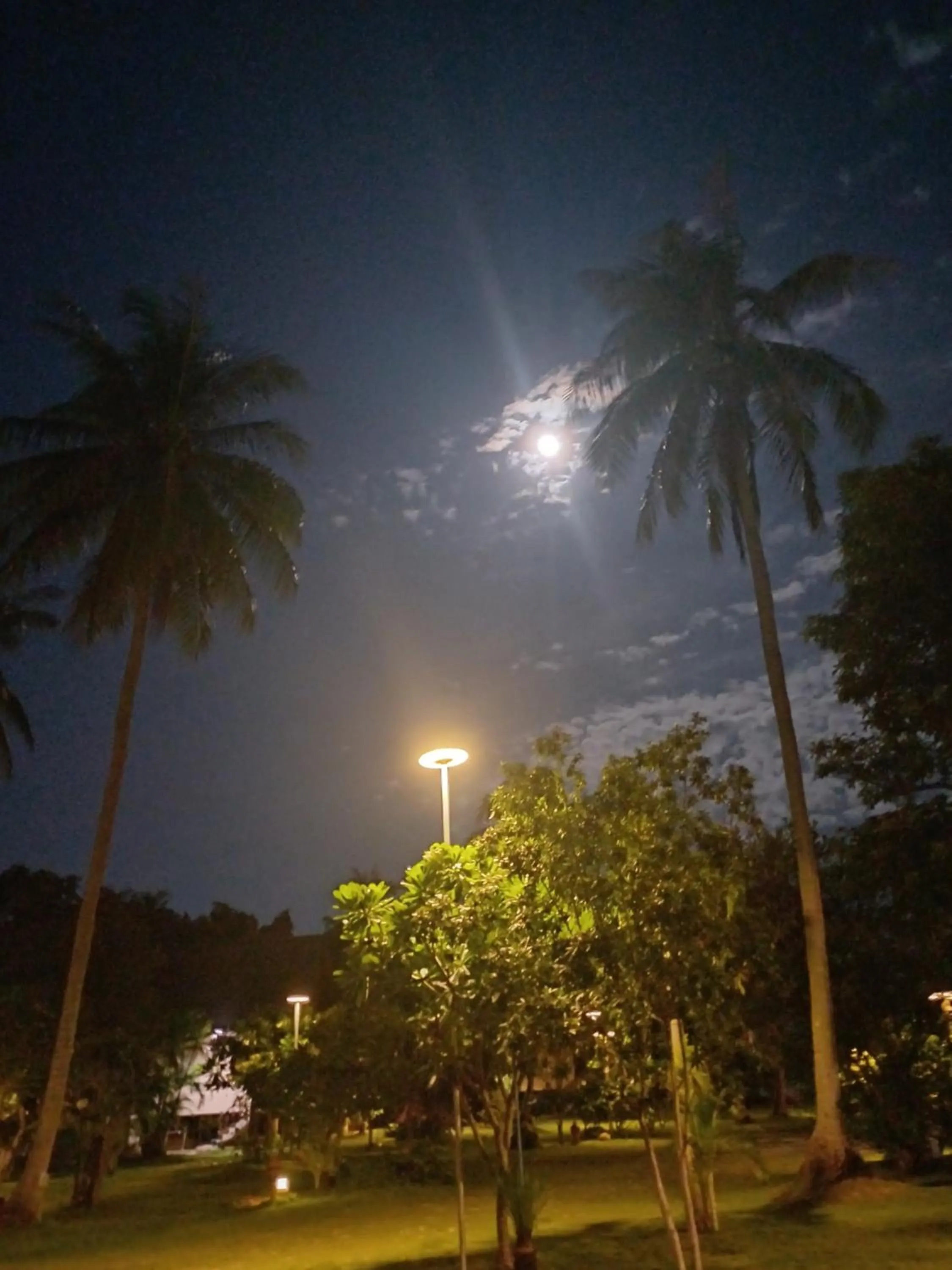 Tropicana Khophagan Resort Hotel