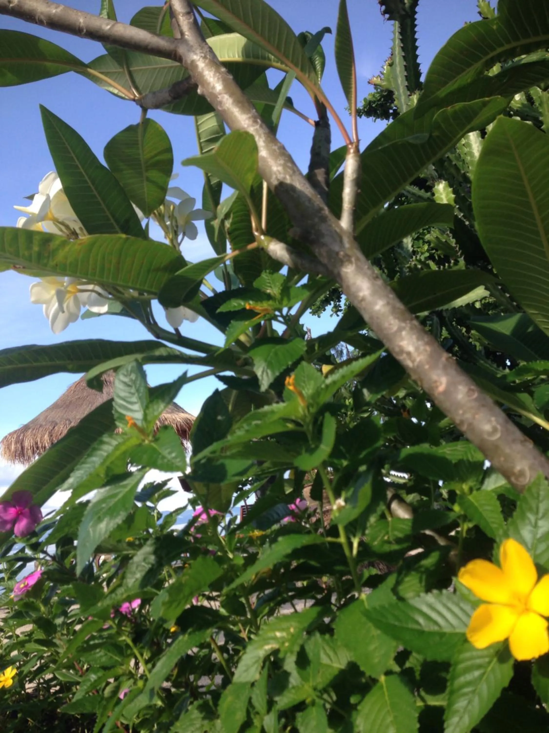 Tropicana Khophagan Resort Hotel