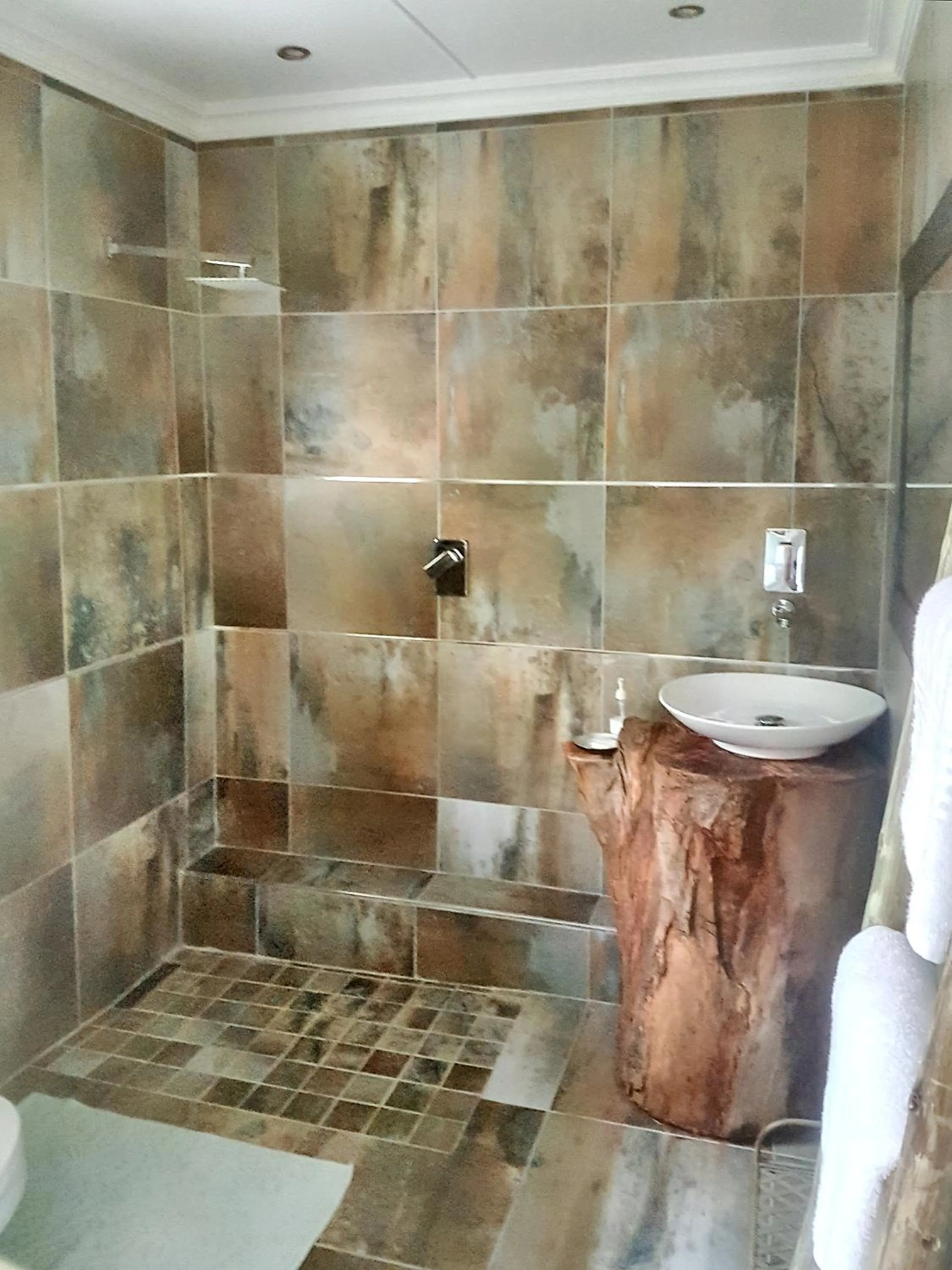 Bathroom in Log Inn