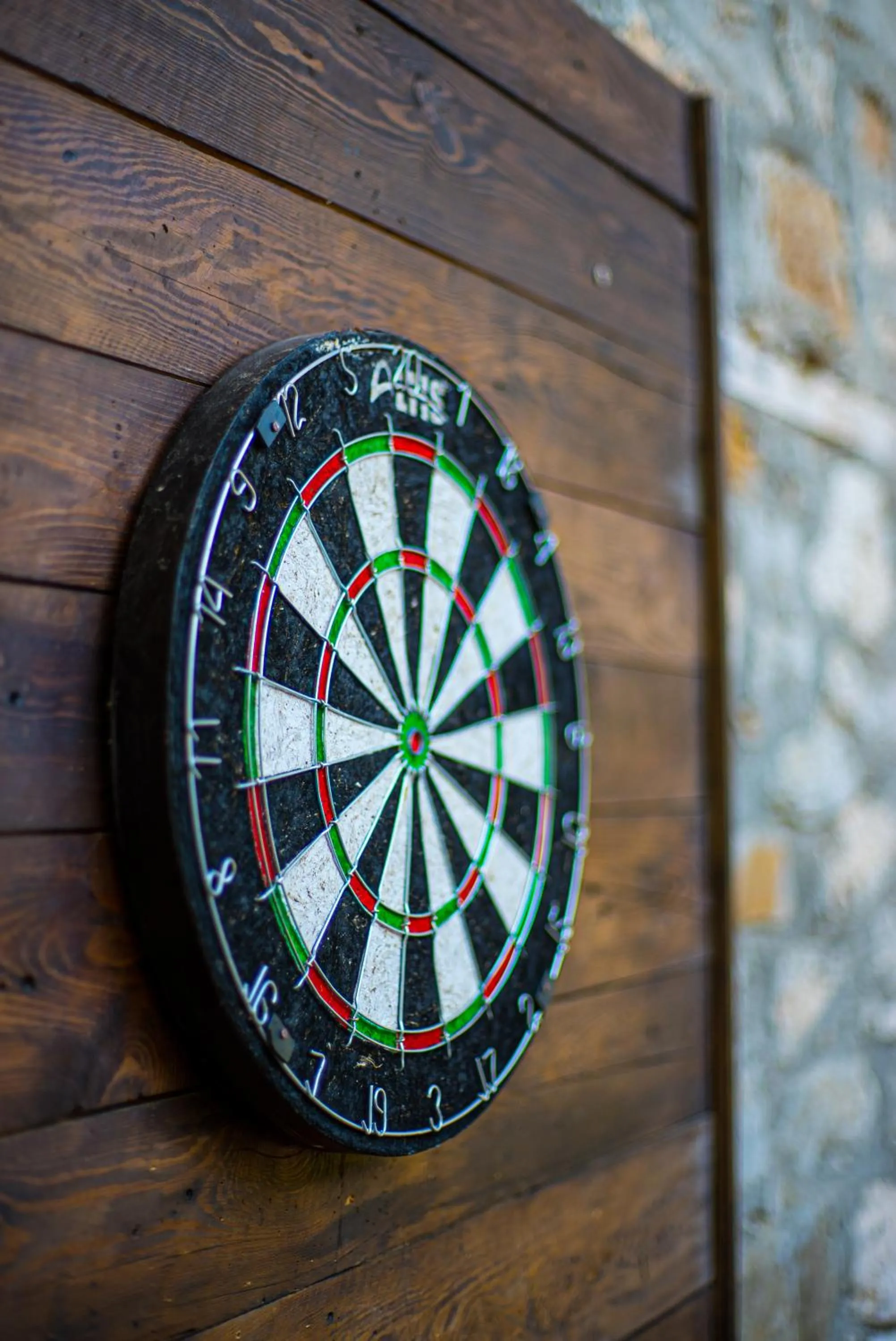 Darts in Lycia Nature House