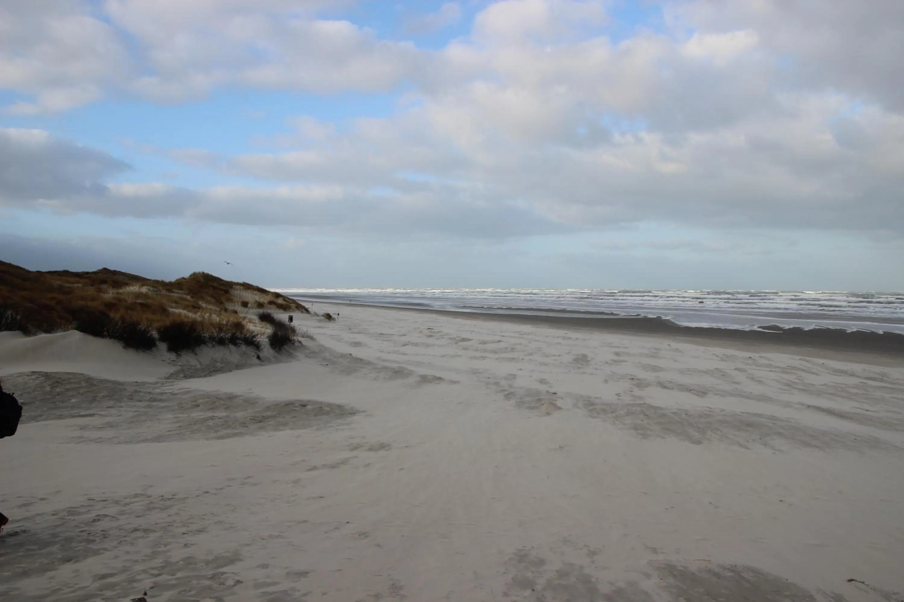 Beach in Deichhotel Rose