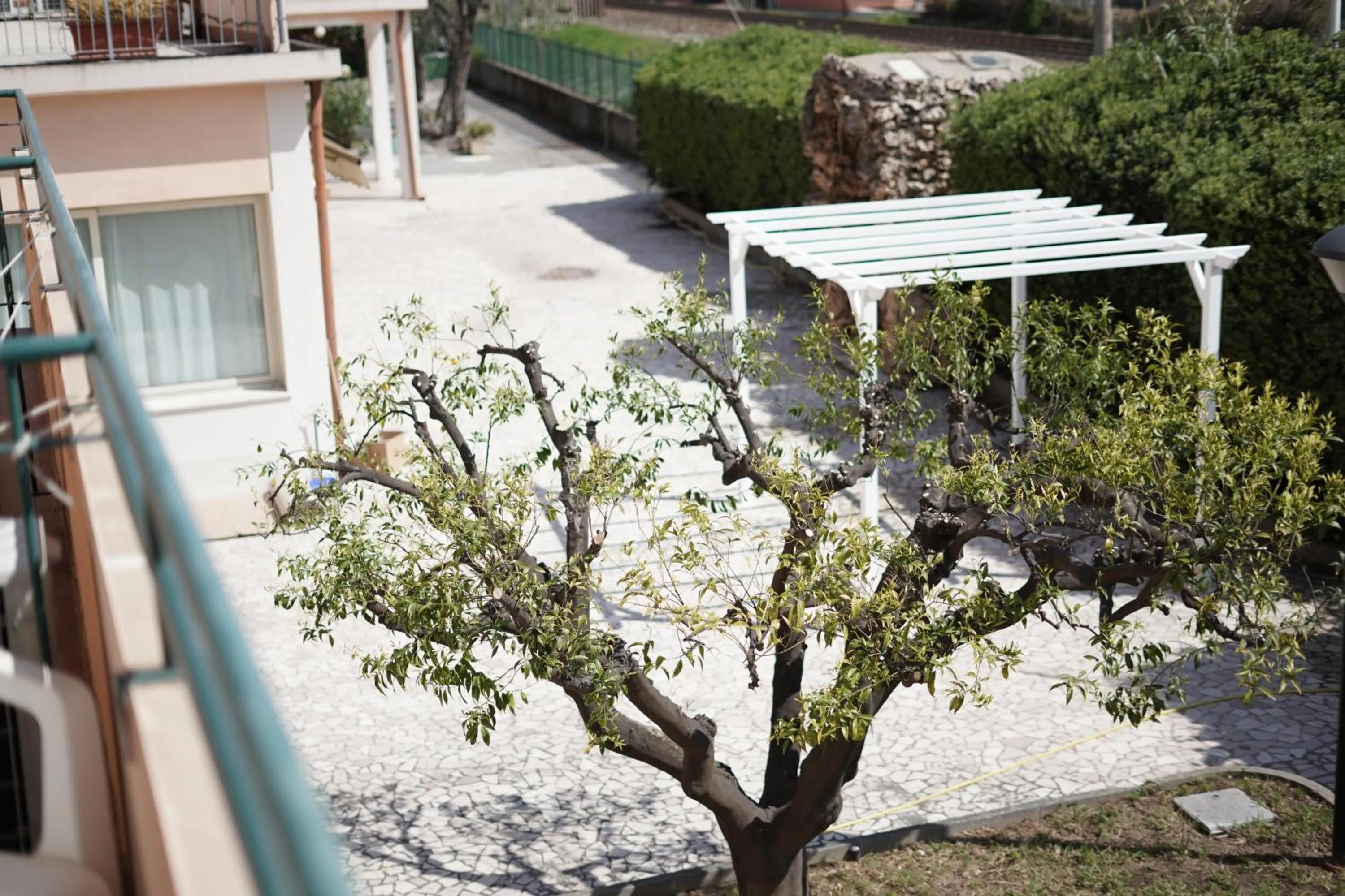 Garden in Hotel Villa Paolina
