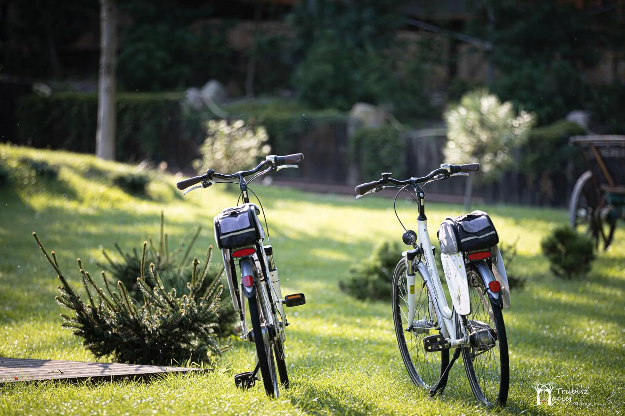 Natural landscape in Akademia Kuraszków