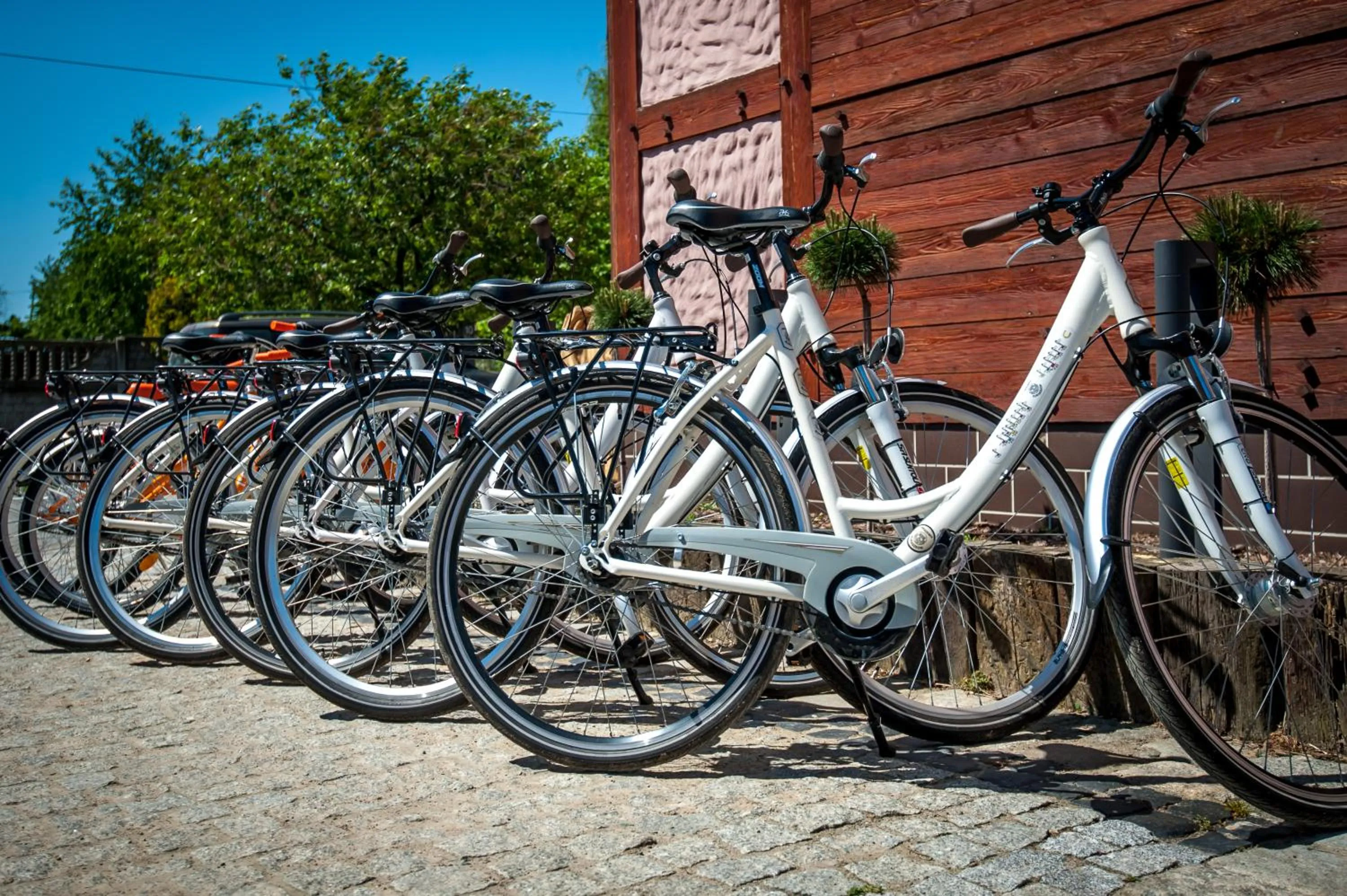 Cycling in Akademia Kuraszków