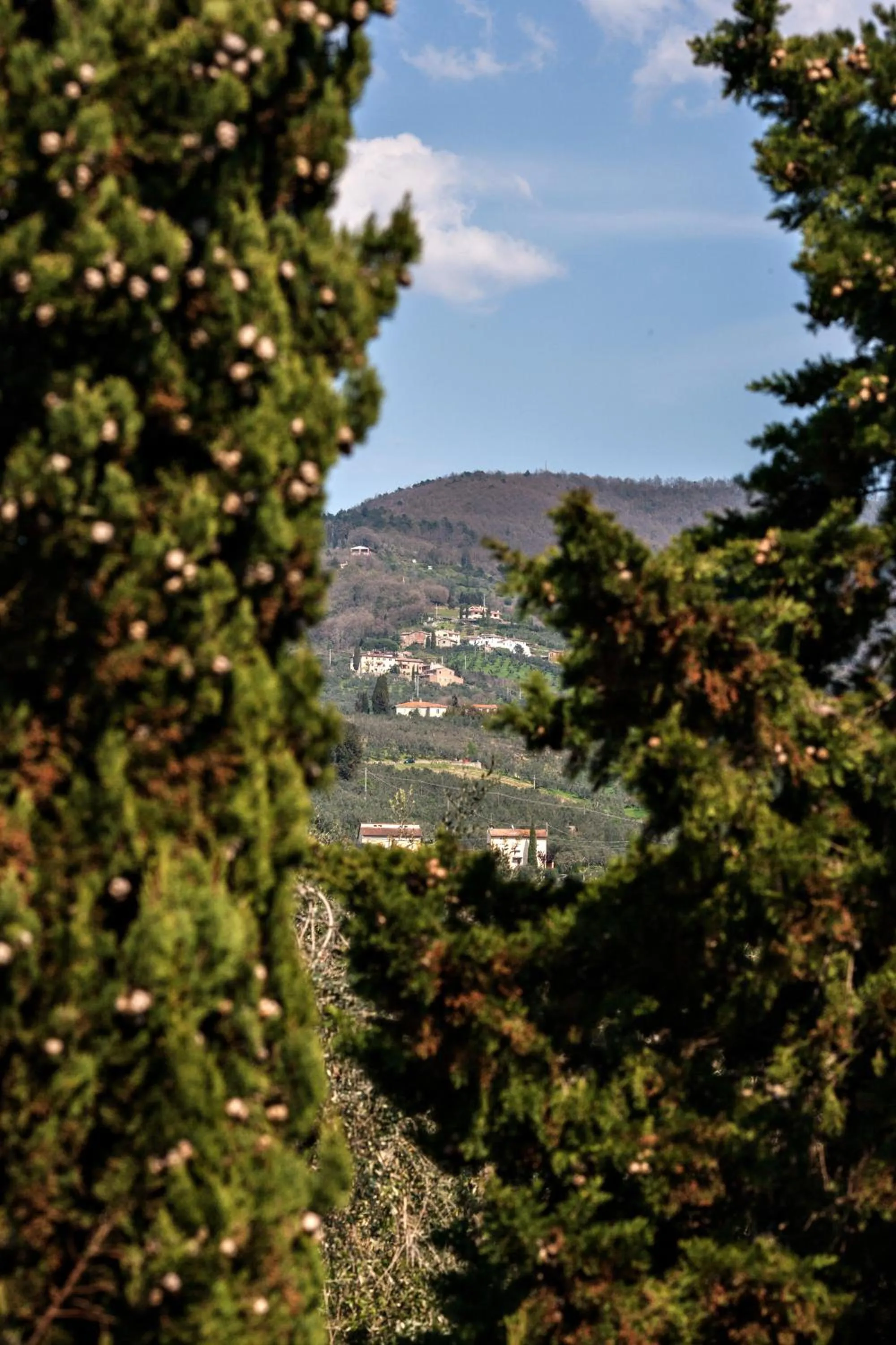 Landmark view in Agriturismo Il Piastrino