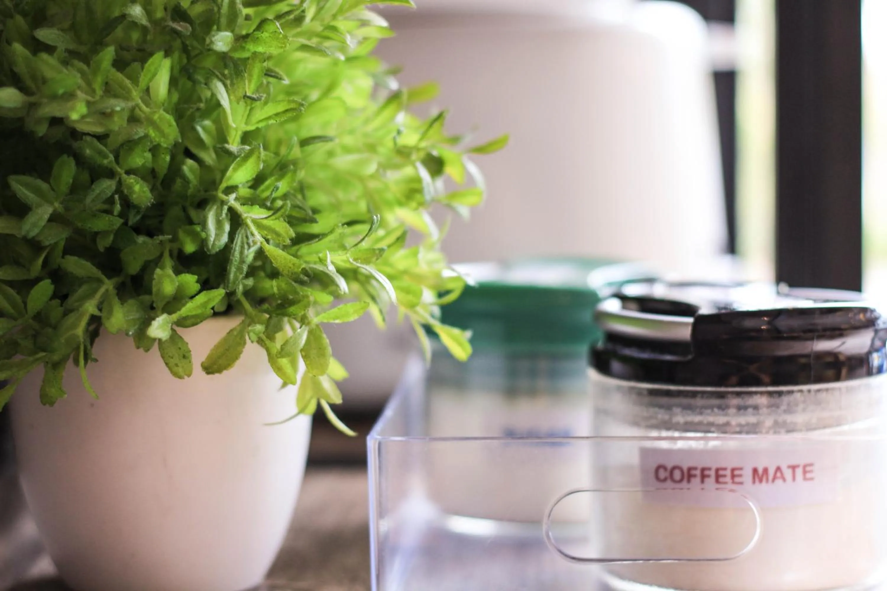 Lobby or reception in Vipa House Phuket - SHA Extra Plus