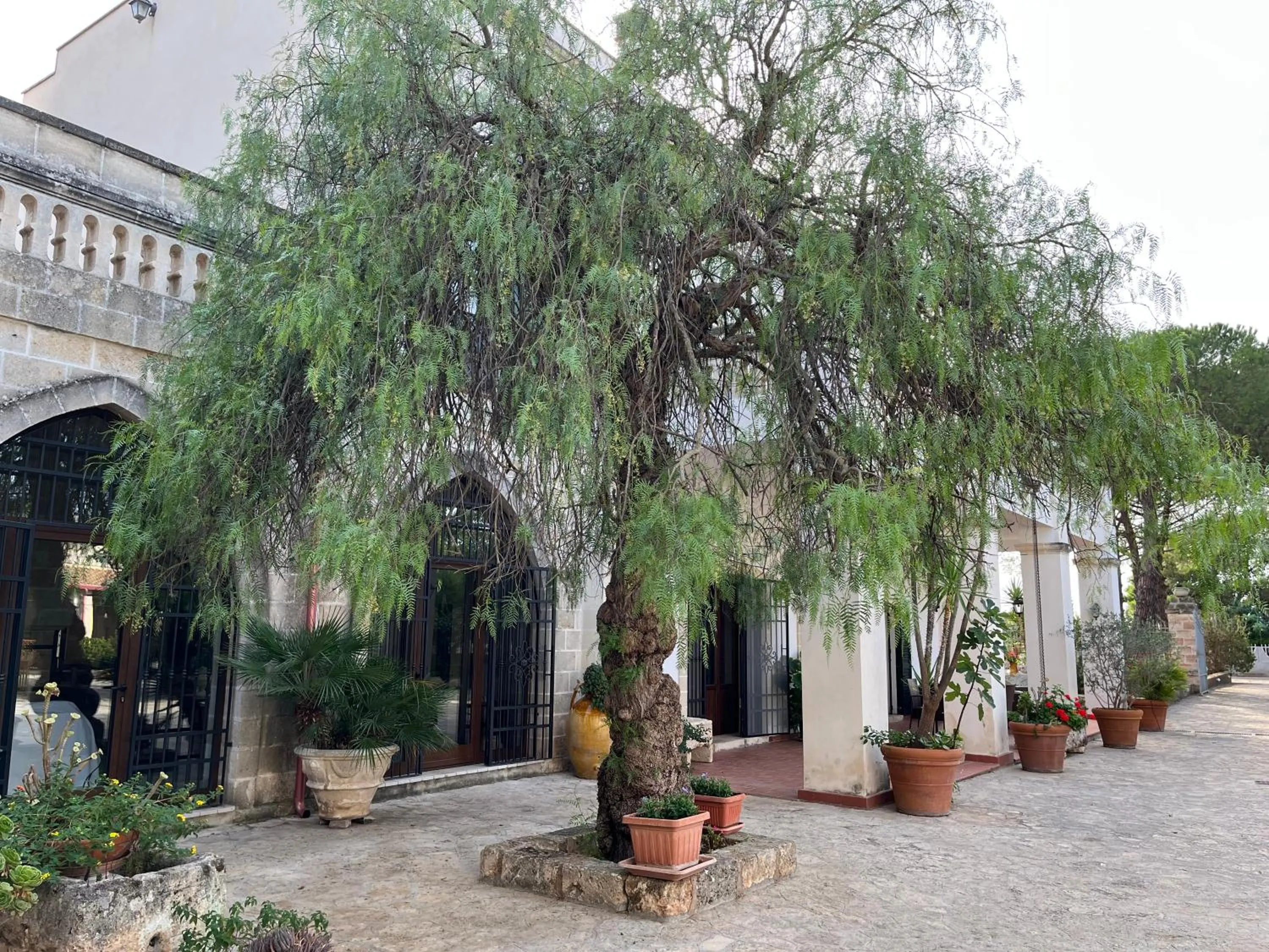 Property building in Masseria La Camardia
