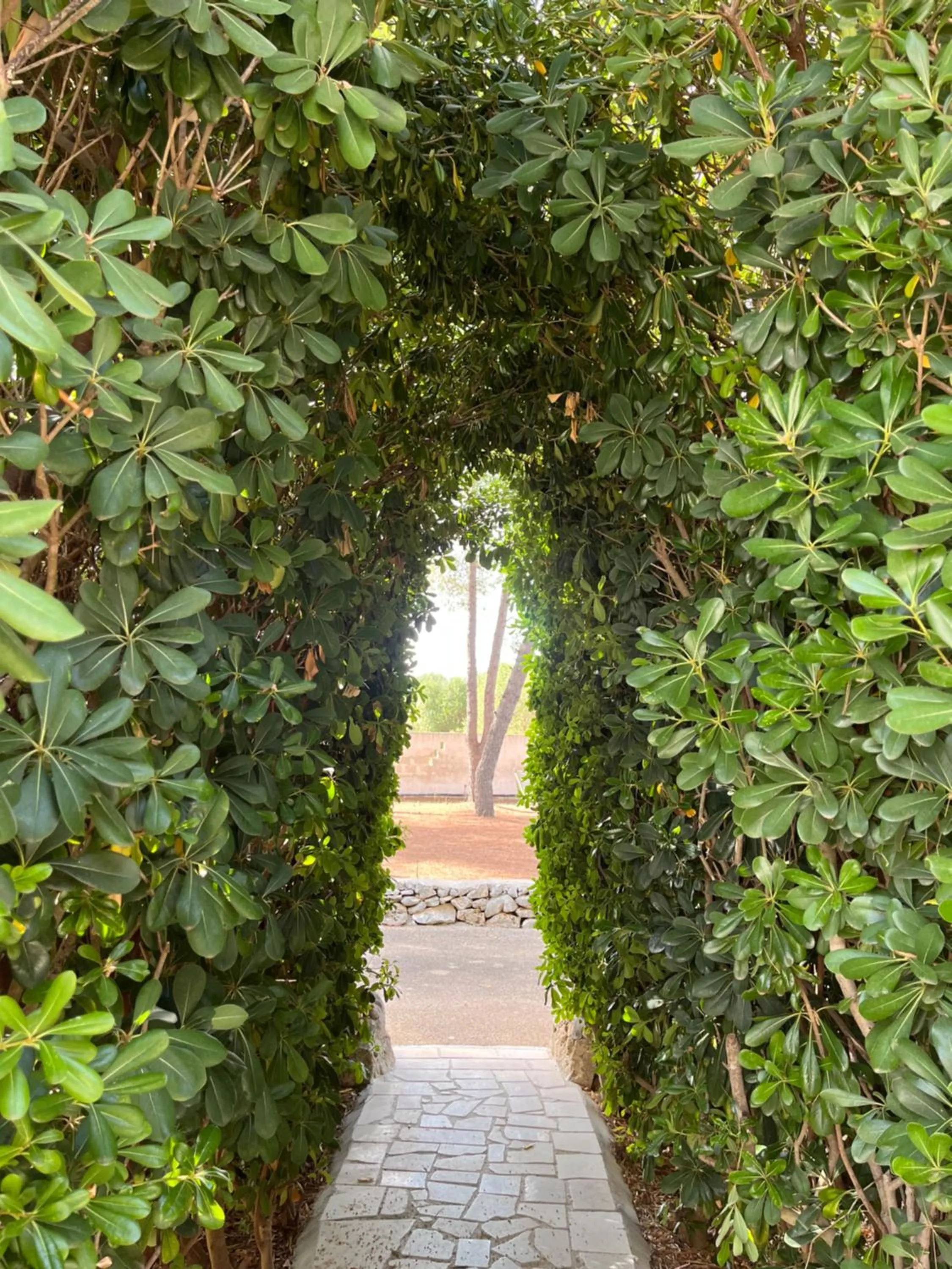 Garden in Masseria La Camardia