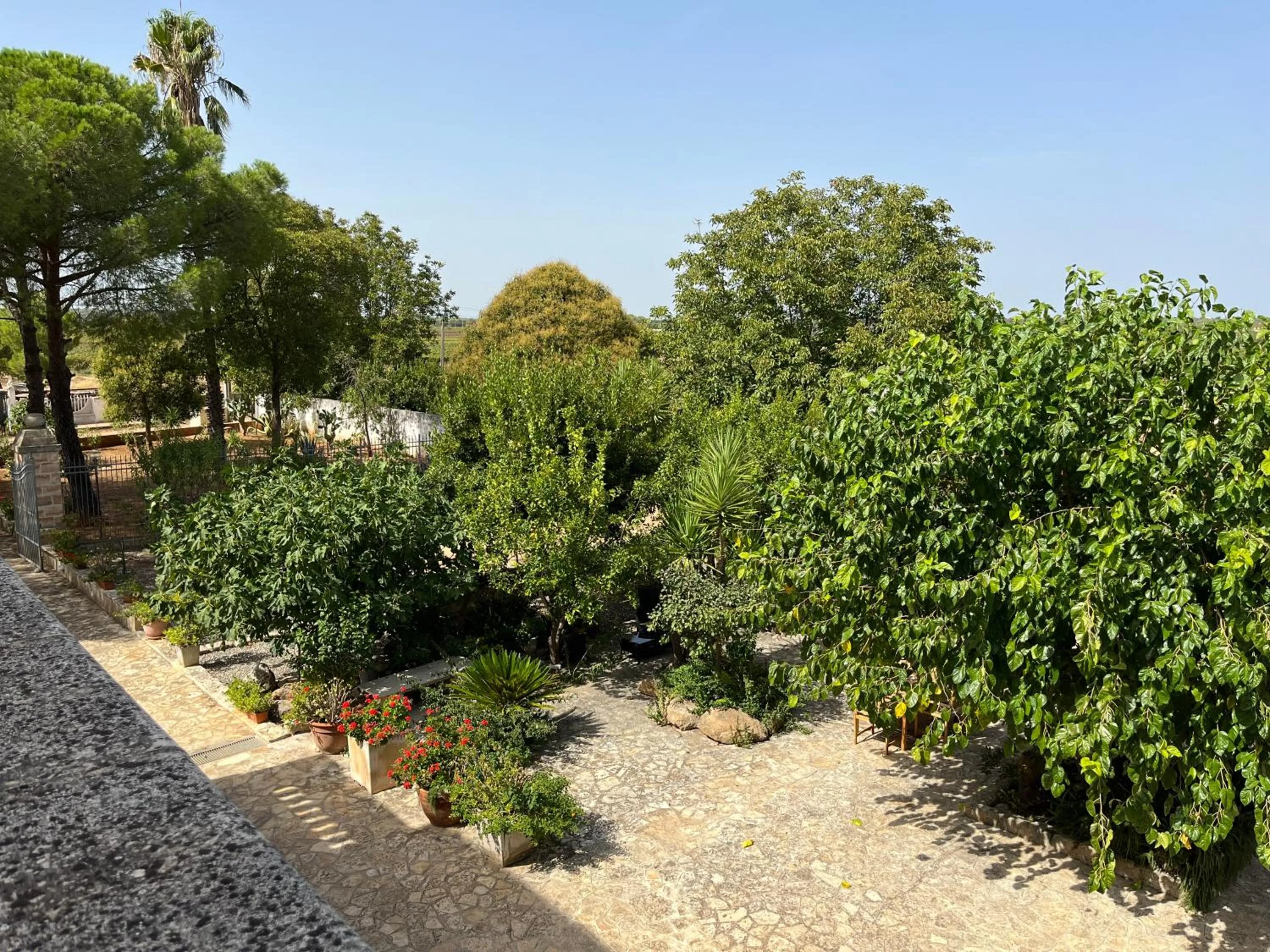 Garden view in Masseria La Camardia