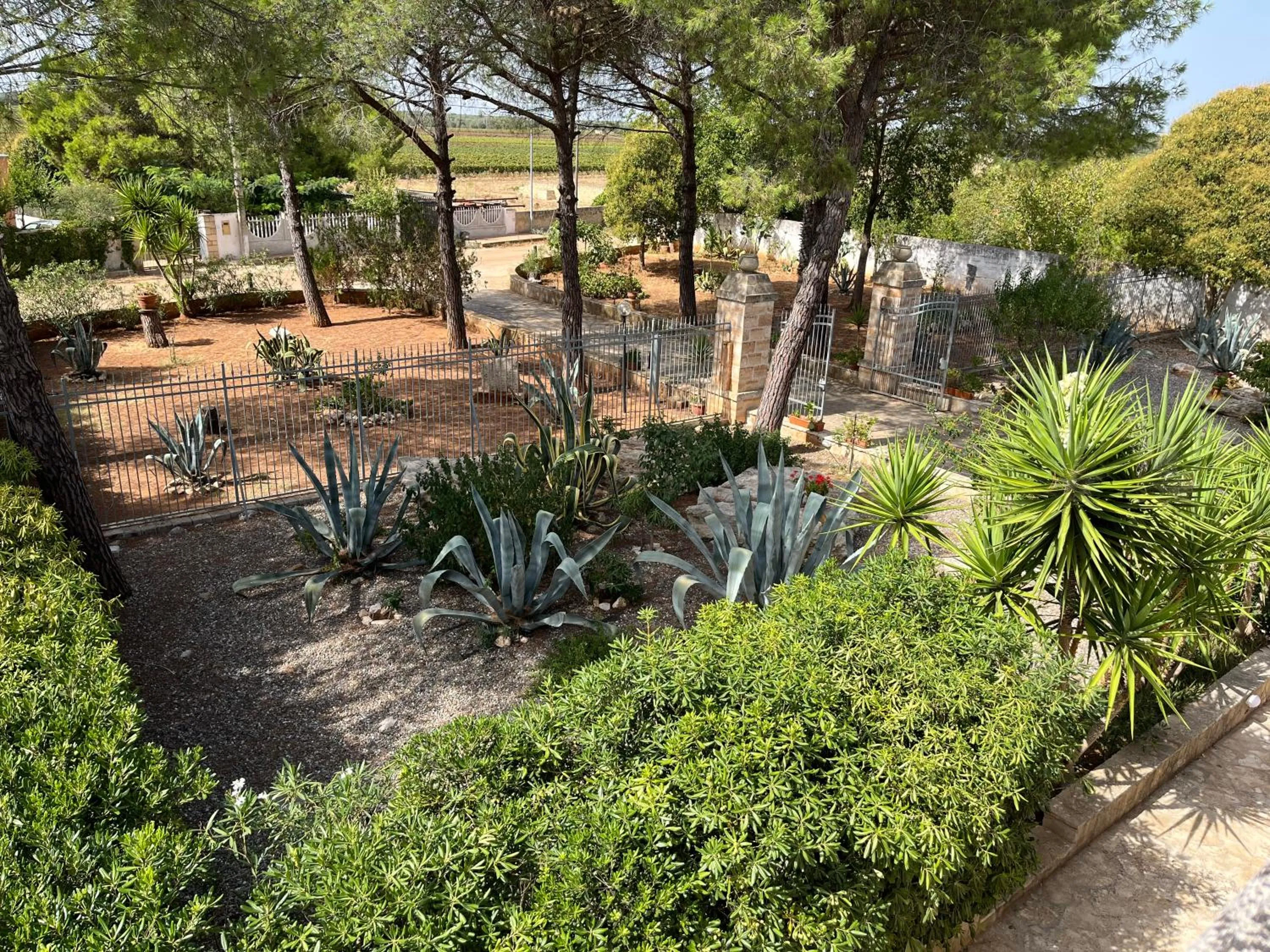 Garden view in Masseria La Camardia